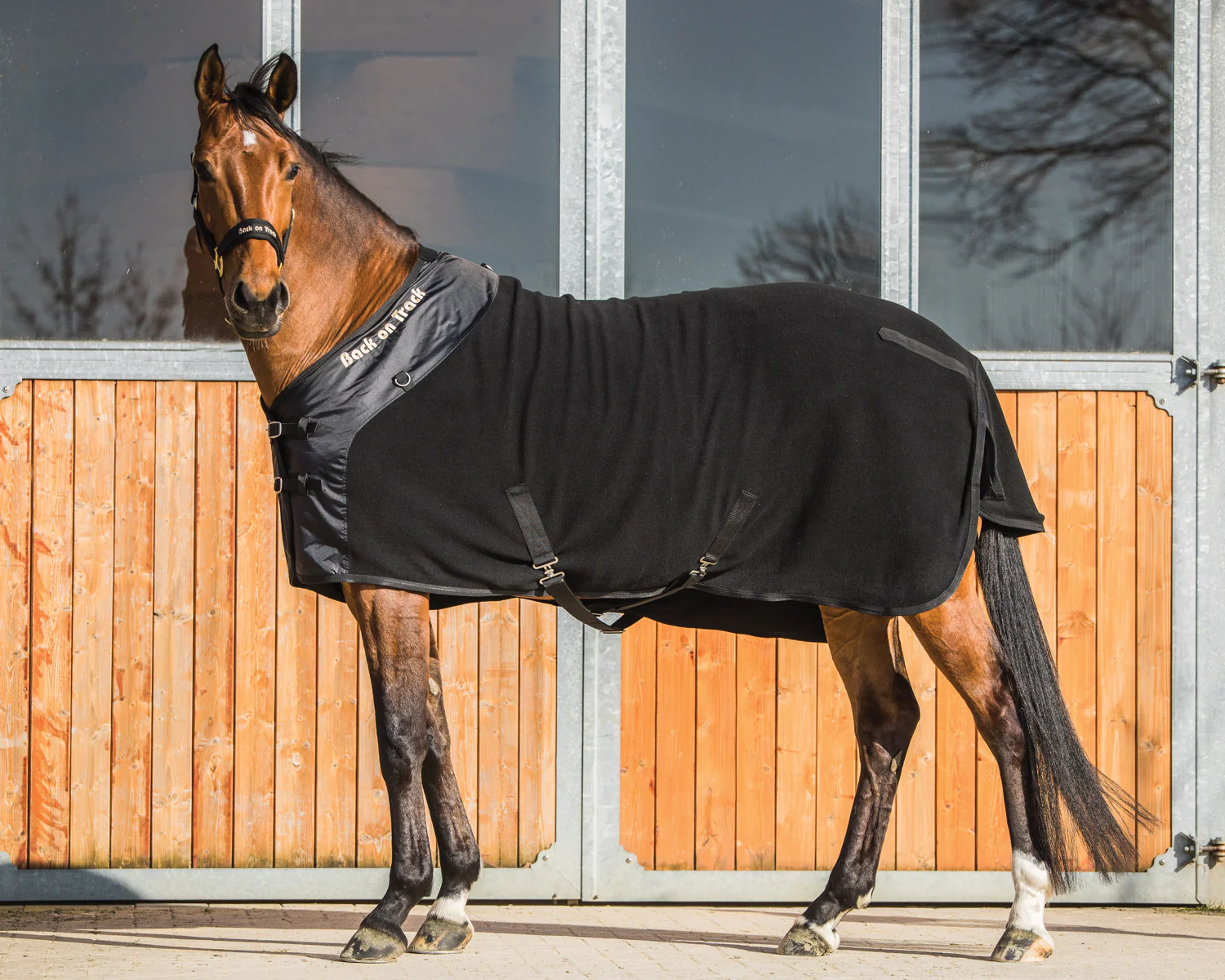 Back on Track® Supreme Fleece Blanket - Image 2