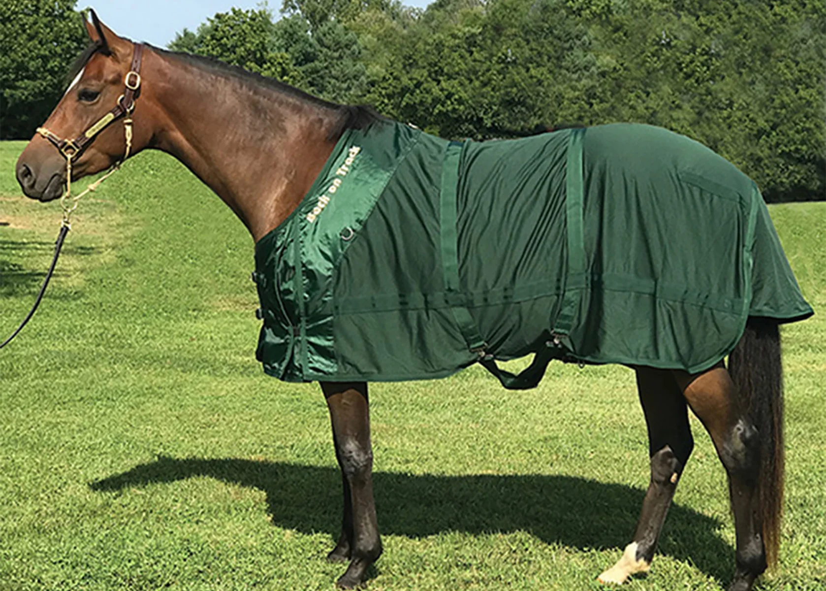 Back on Track® Therapeutic Mesh Horse Sheet - Image 4