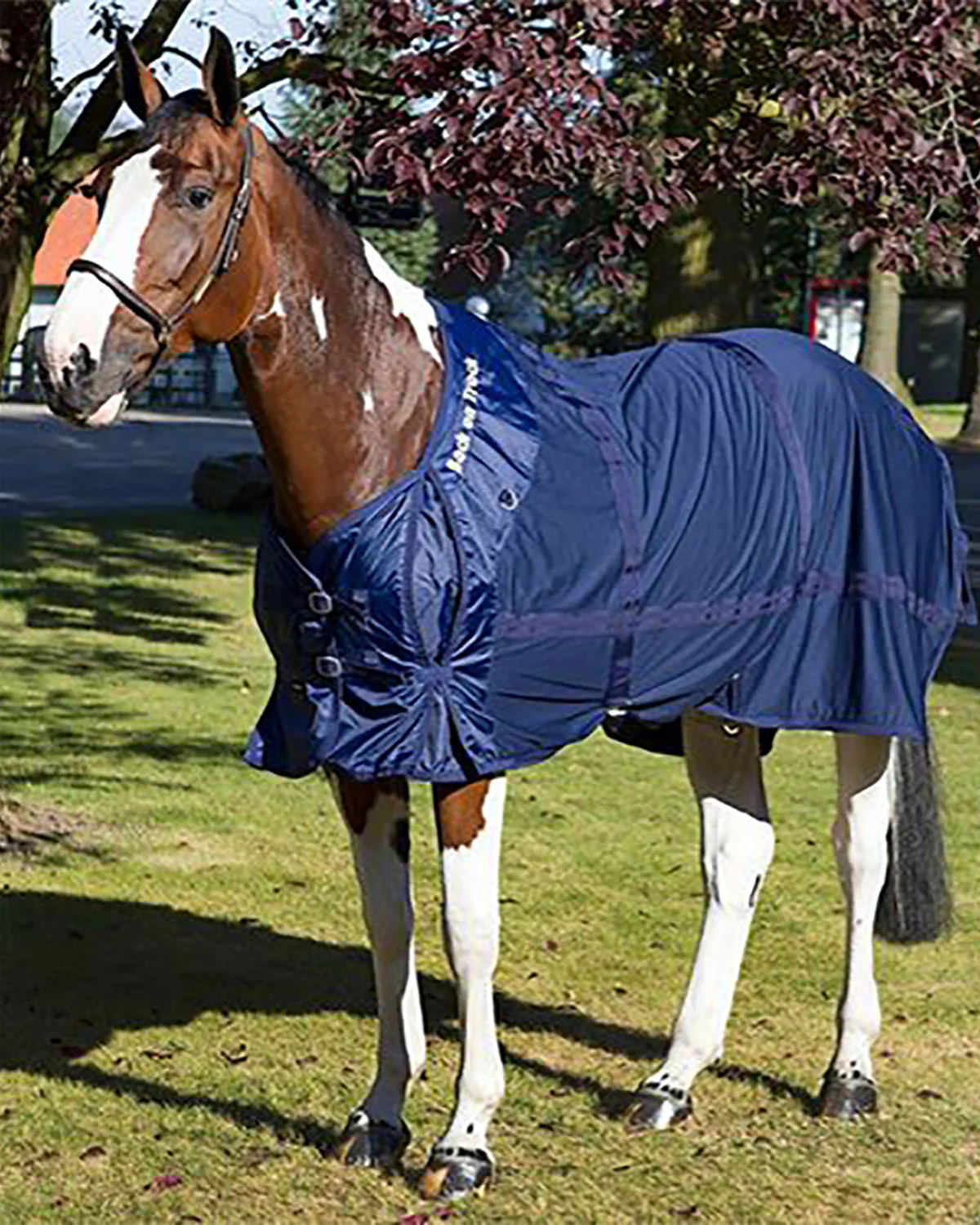 Back on Track® Therapeutic Mesh Horse Sheet - Image 6