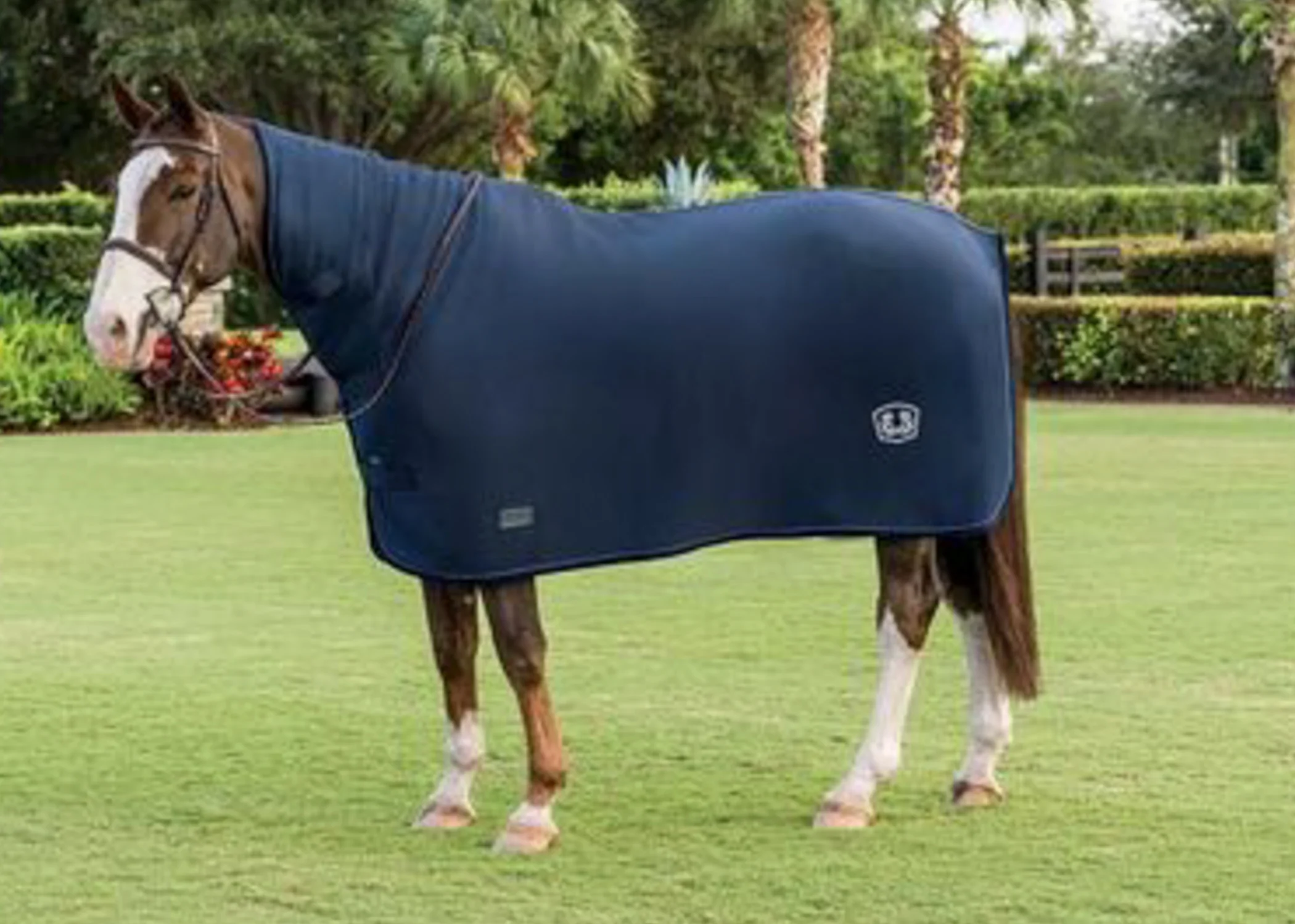 Blanket Breed Logos - Image 2