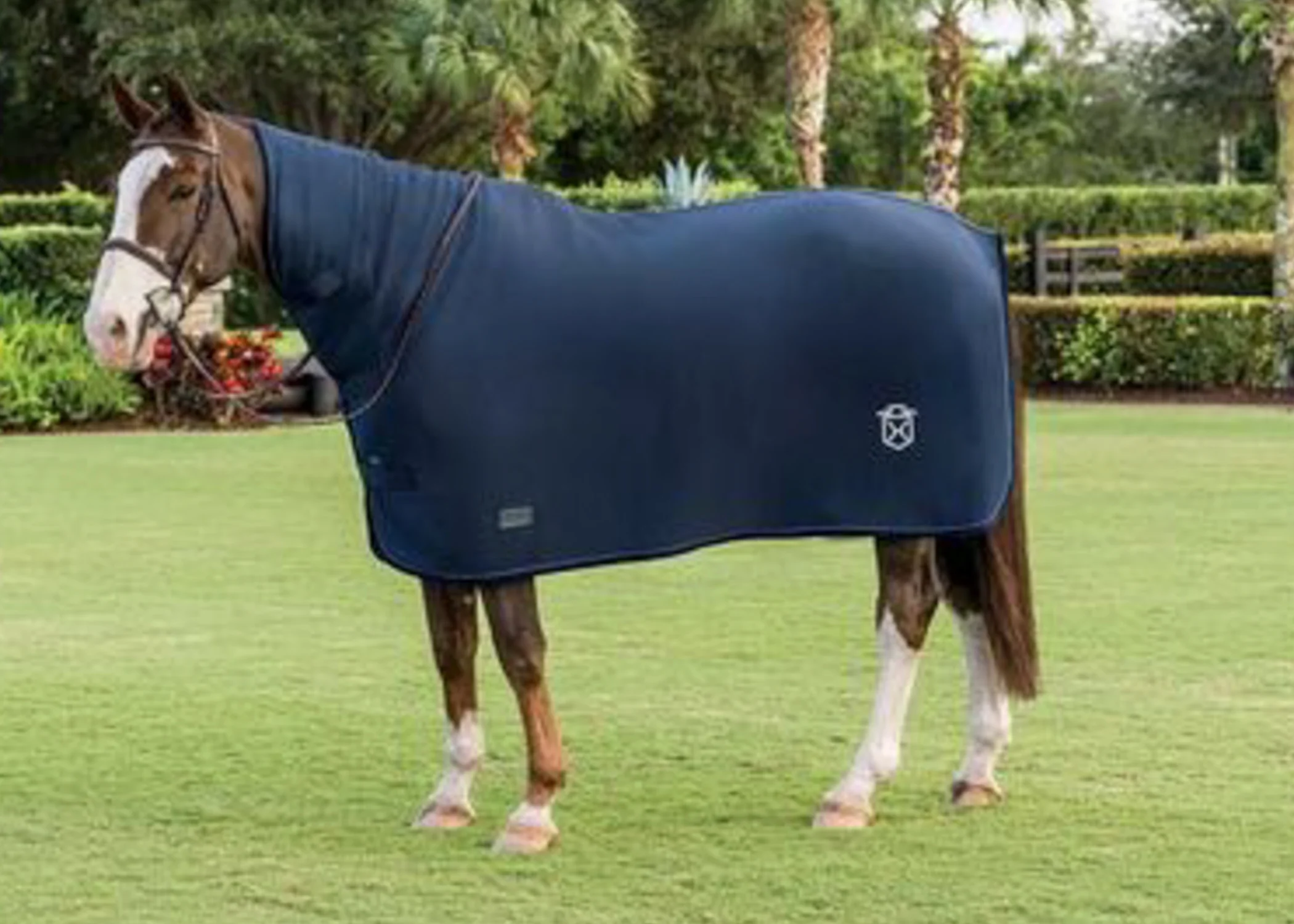 Blanket Breed Logos - Image 29