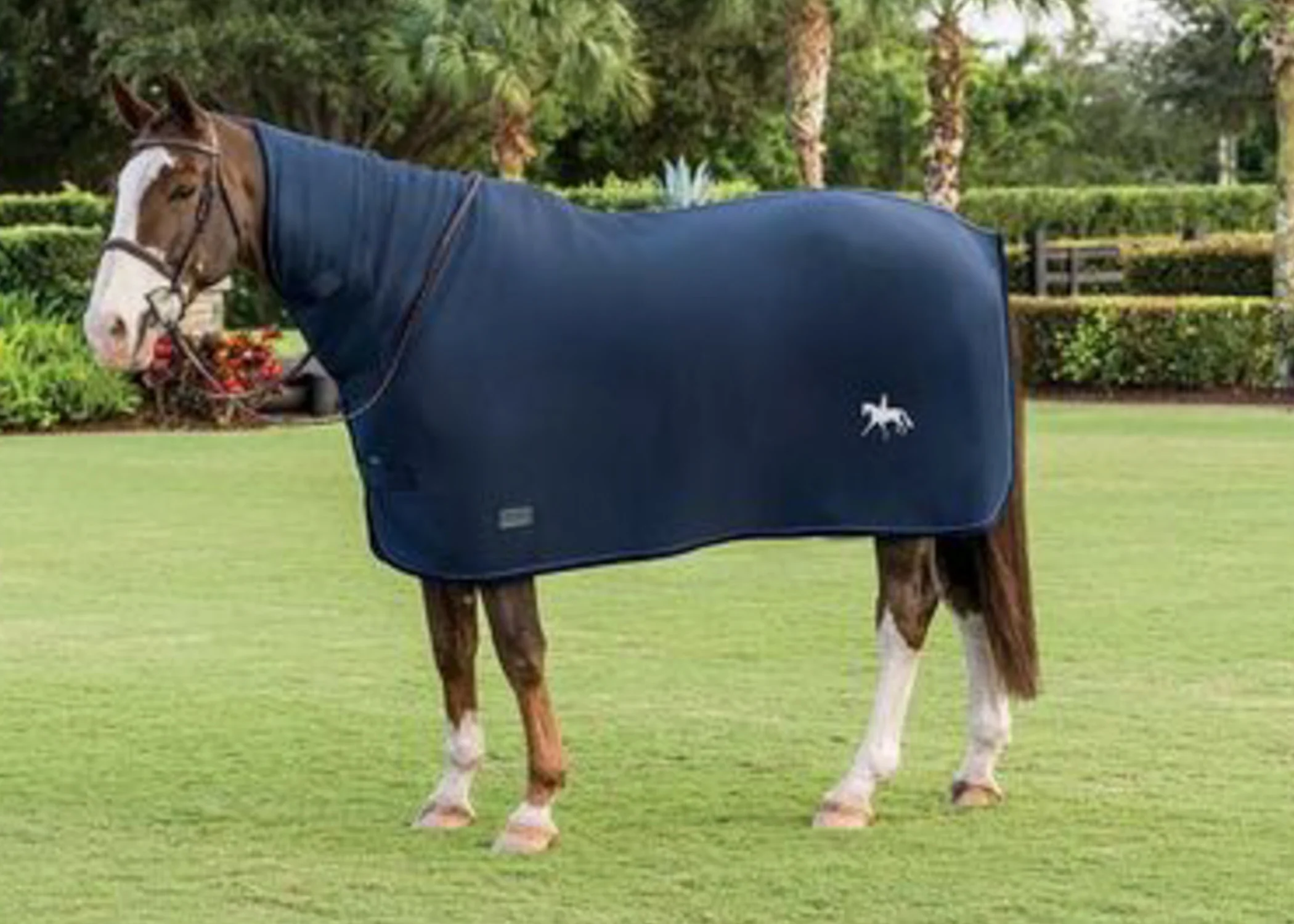 Blanket Breed Logos - Image 7