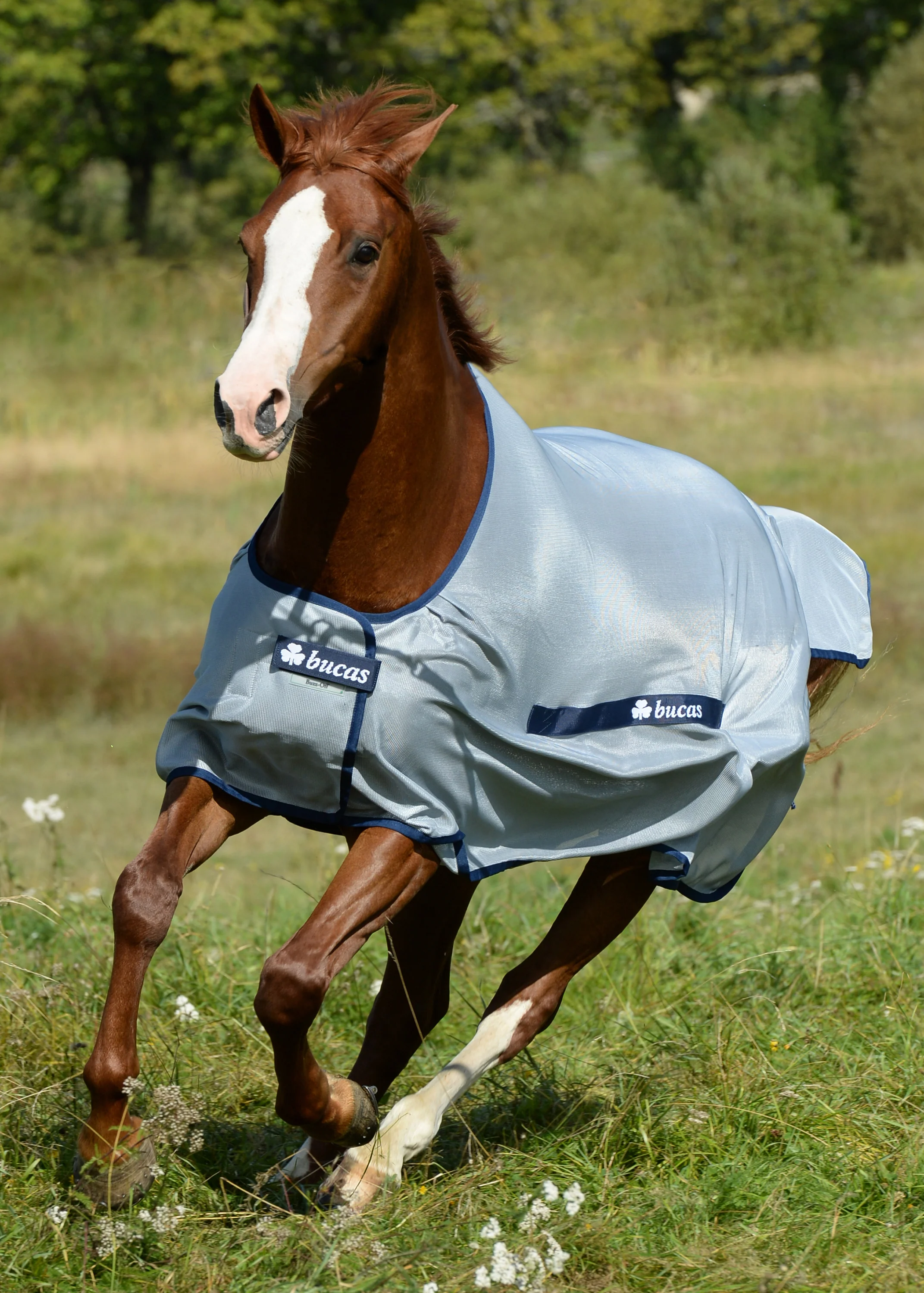 Bucas Buzz-Off Classic Fly Sheet - Image 3