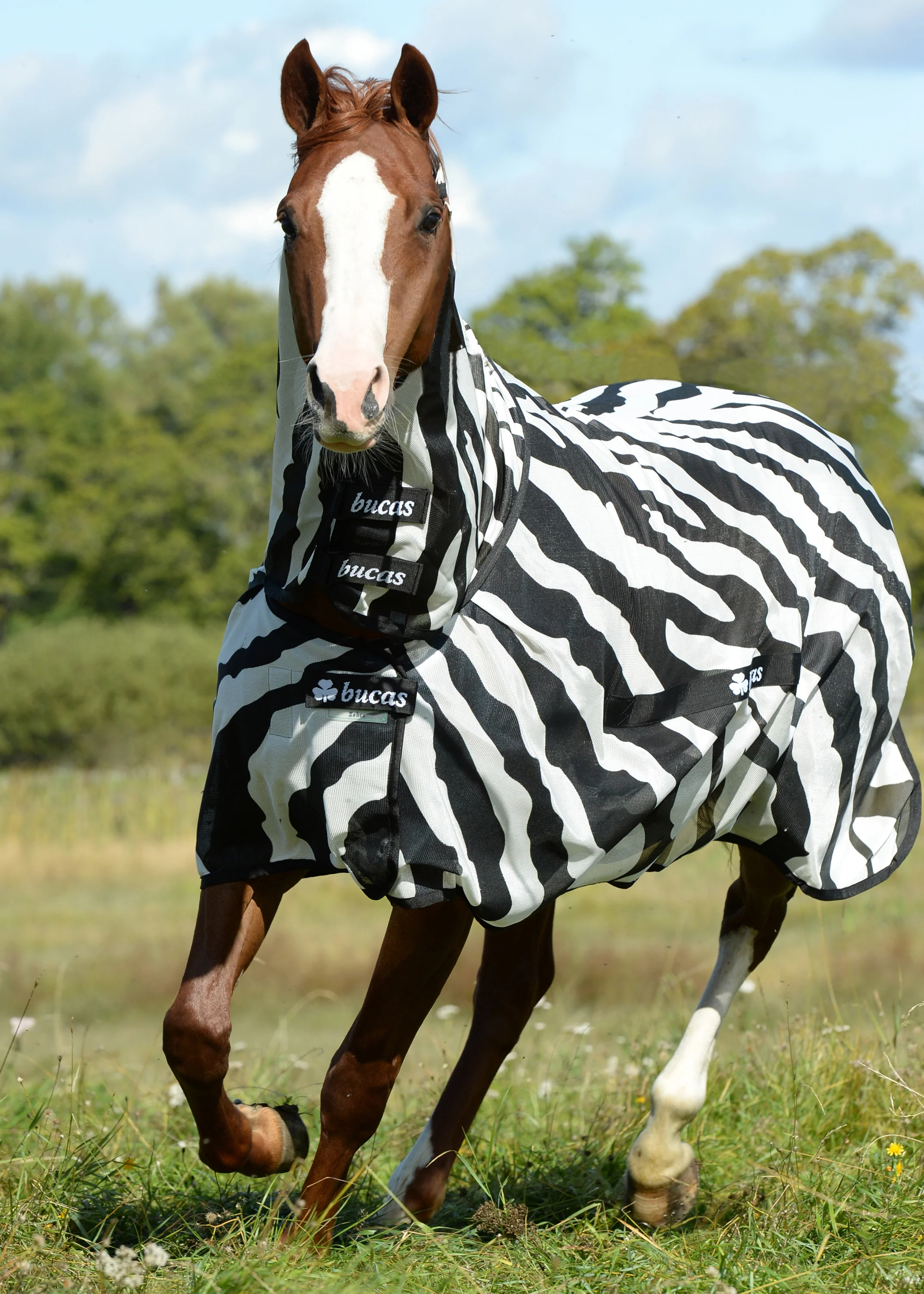 Bucas Buzz-Off Zebra Fly Sheet with High Neck - Image 3