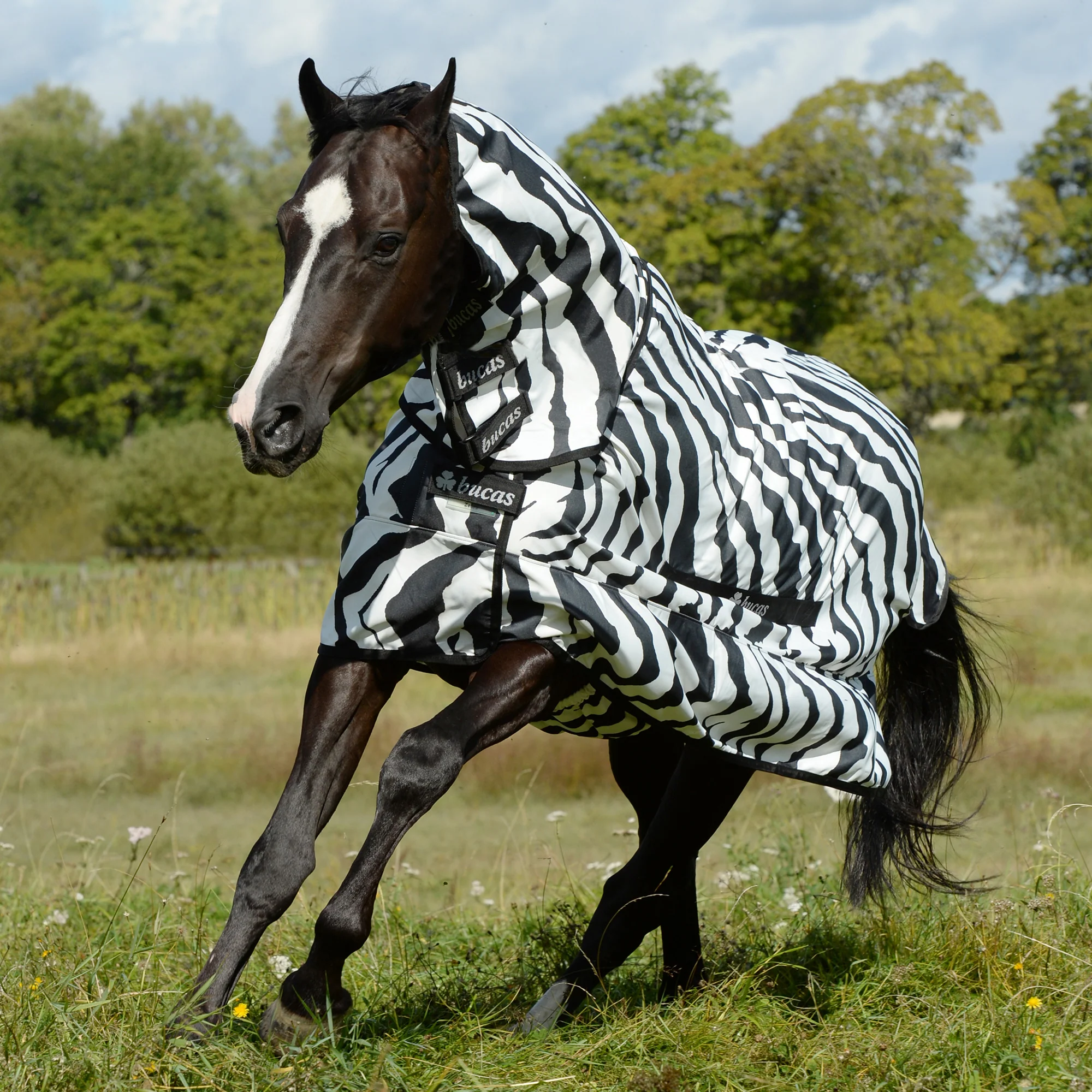 Bucas Zebra Sweet Itch with Full Neck - Image 2