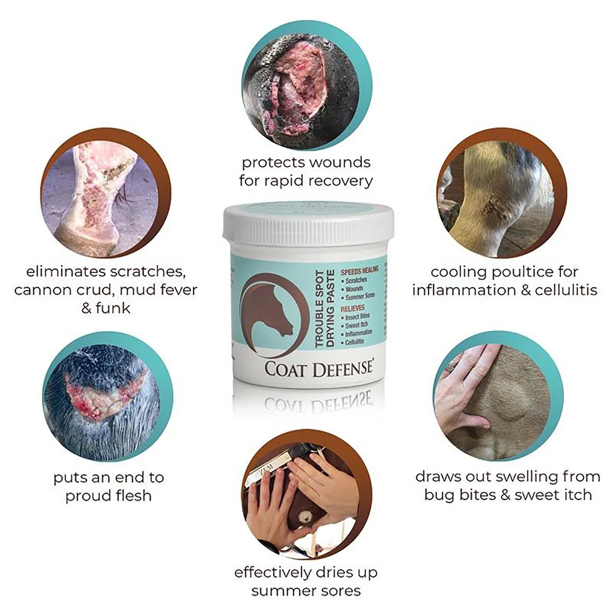 Coat Defense® Trouble Spot Drying Paste - Image 3