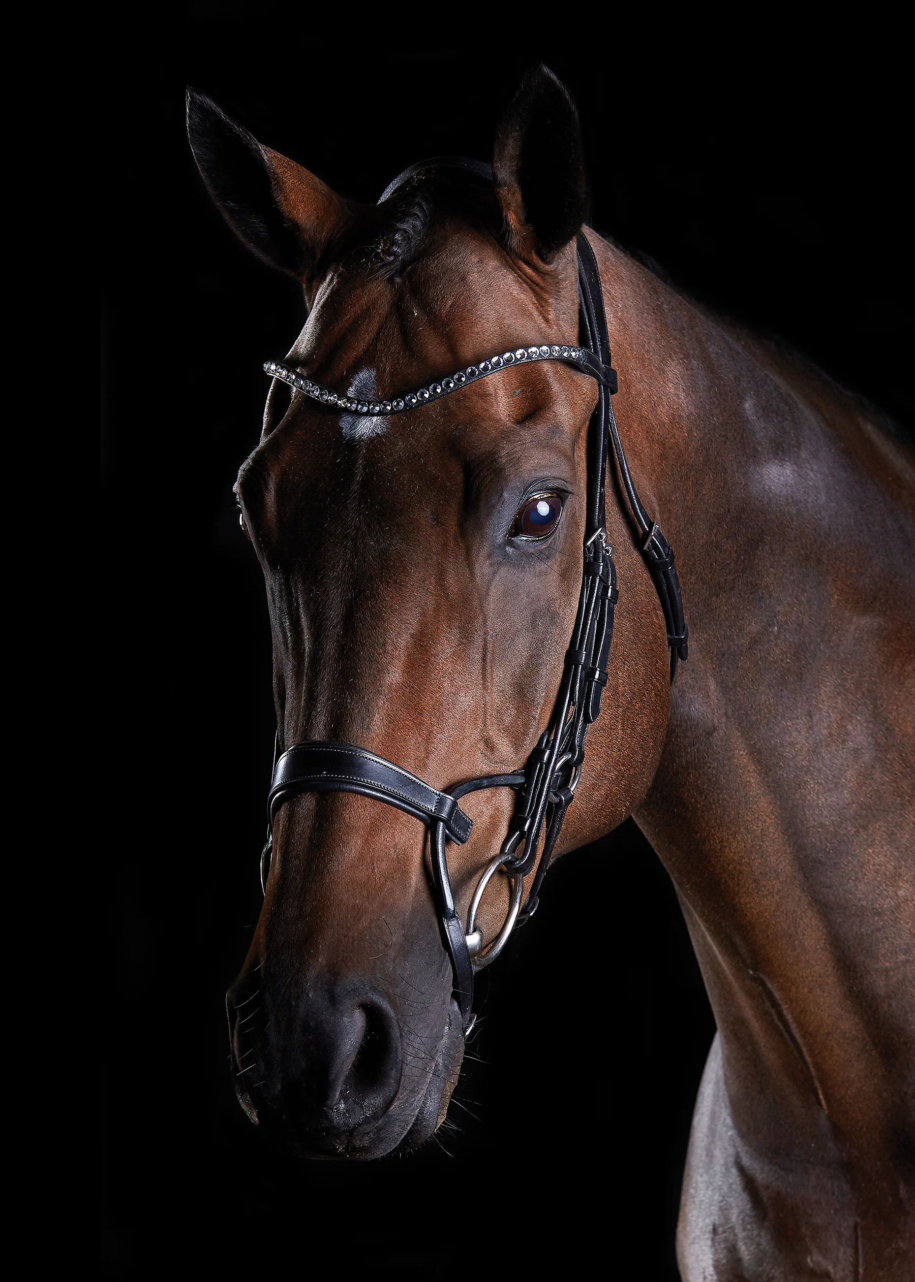 Collegiate® ComFiTec⢠Crystal Bridle