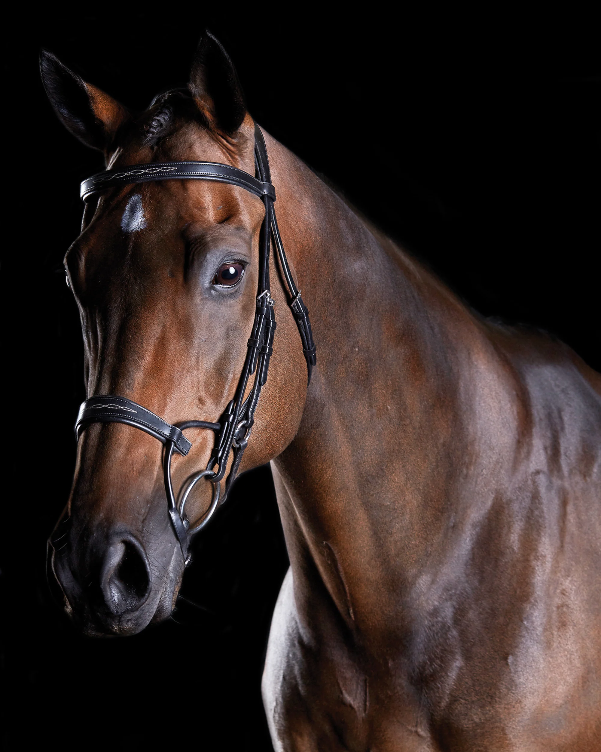 Collegiate® ComFiTec™ Fancy-Stitched Bridle - Image 5