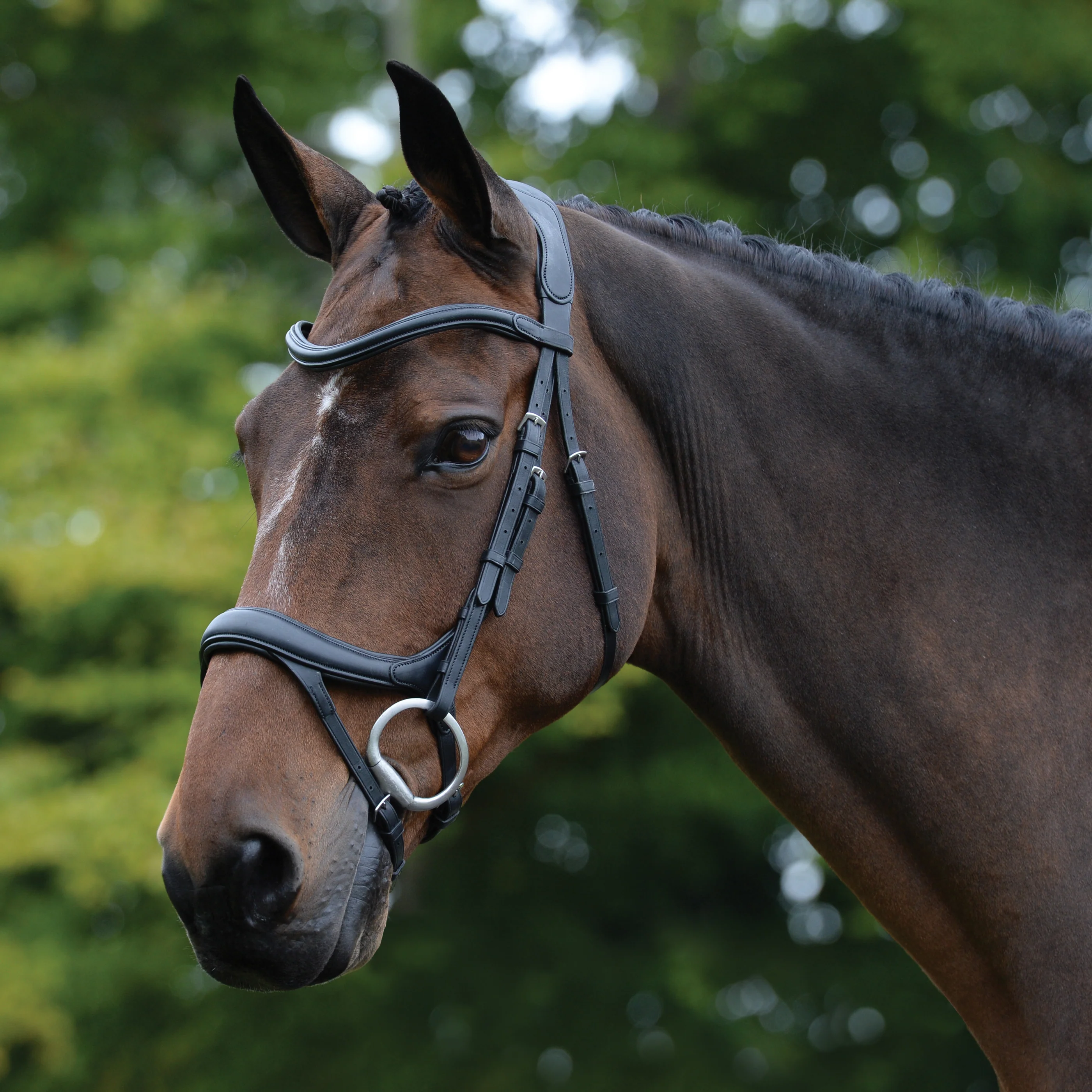 Collegiate® ComFiTec⢠Vogue Anatomic Bridle
