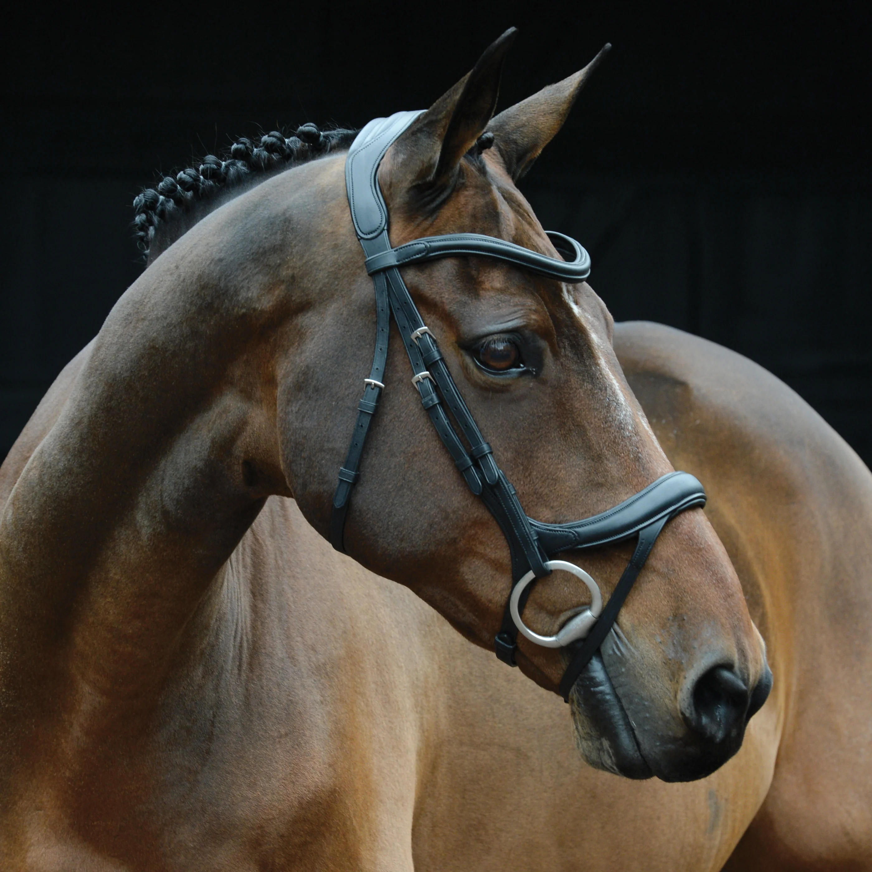 Collegiate® ComFiTec⢠Vogue Anatomic Bridle - Image 2