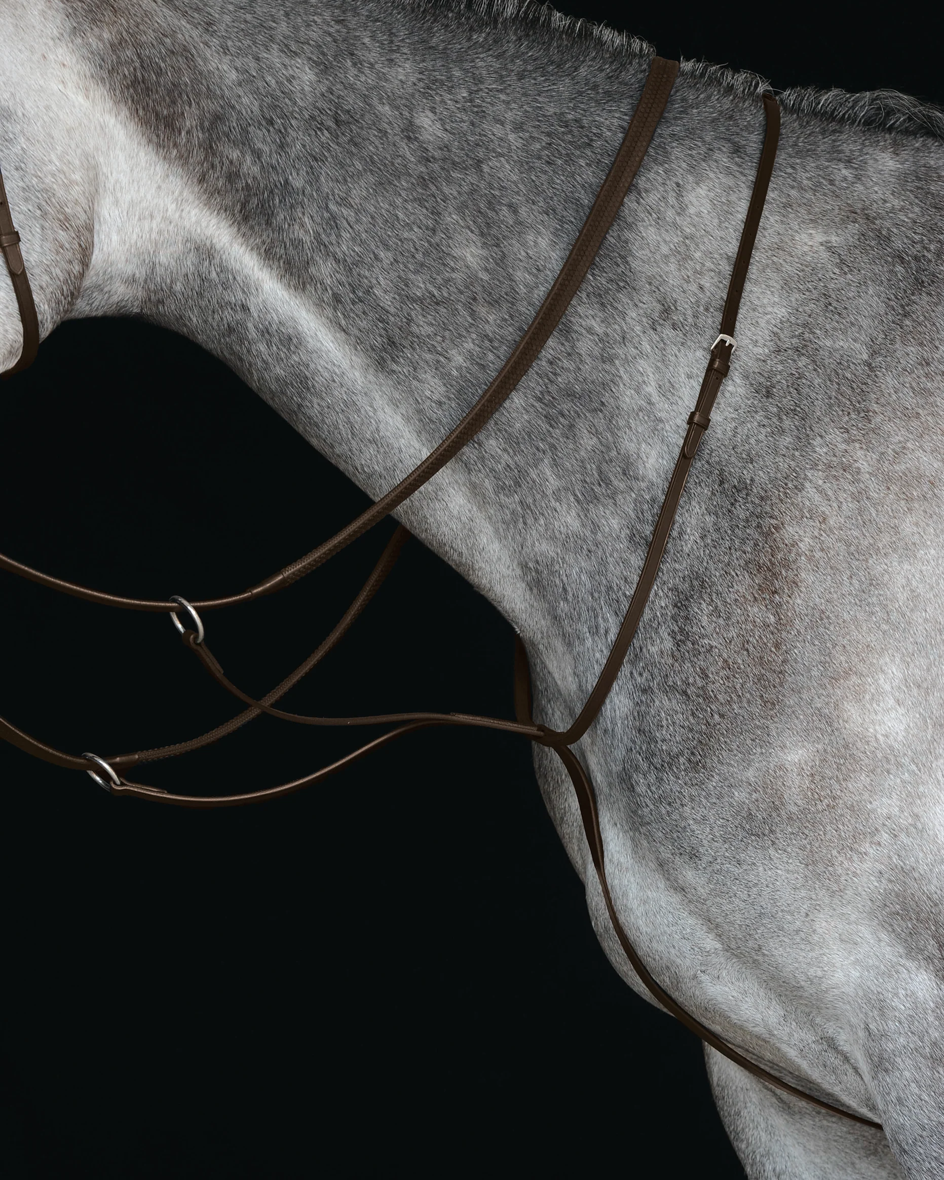 Collegiate® Running Martingale IV