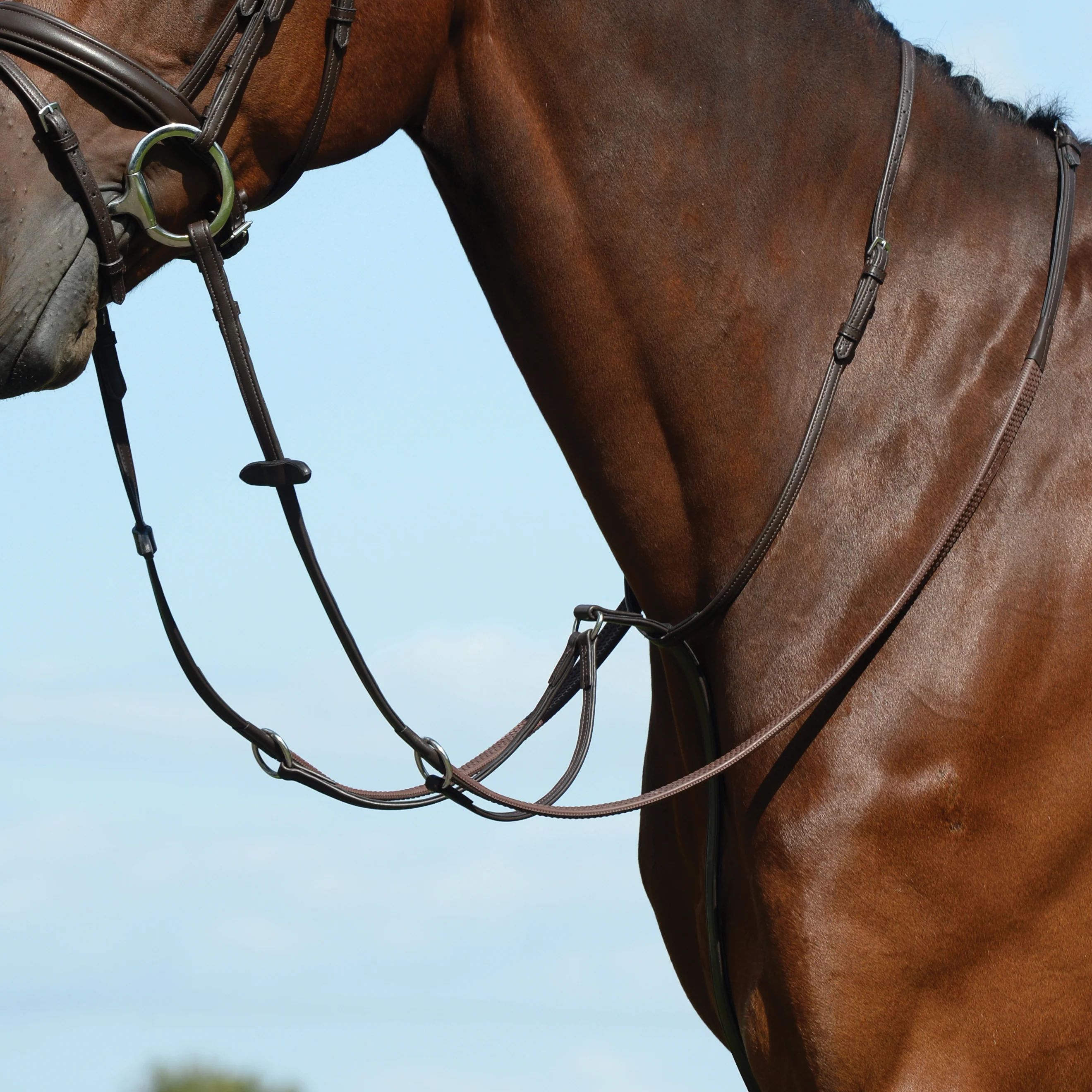 Collegiate® Syntovia+ Plain Flat Running Martingale - Image 4
