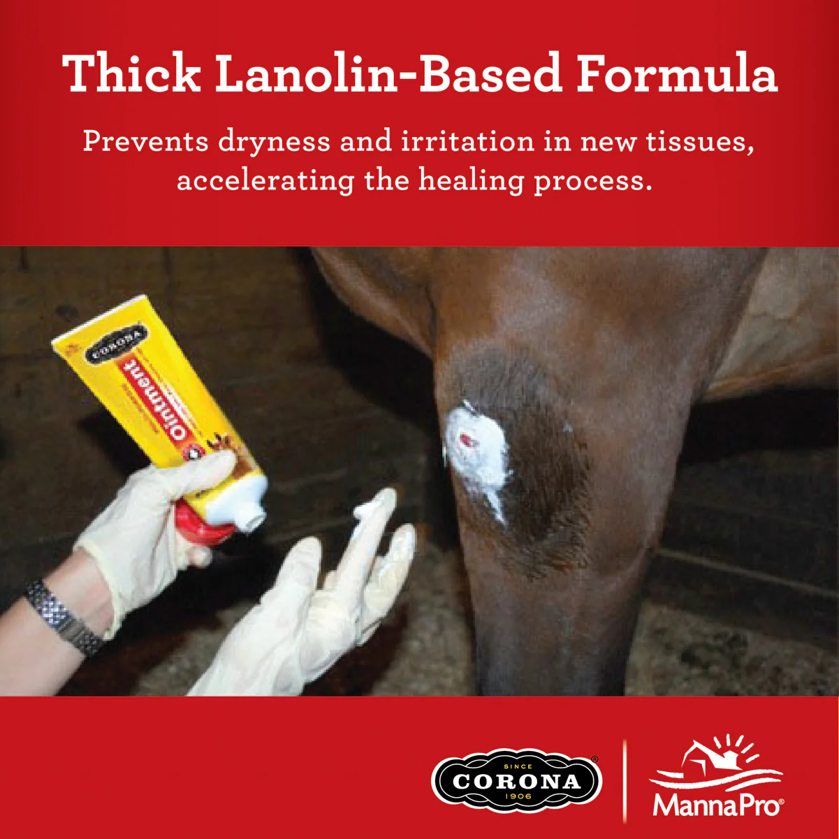 Corona® Ointment - Image 3