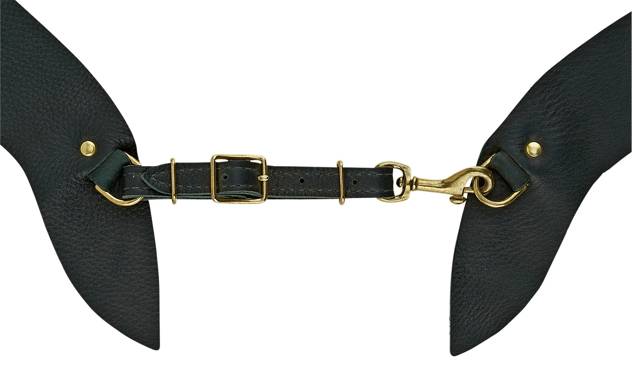 Crown Custom Saddlery Chaps - Image 6