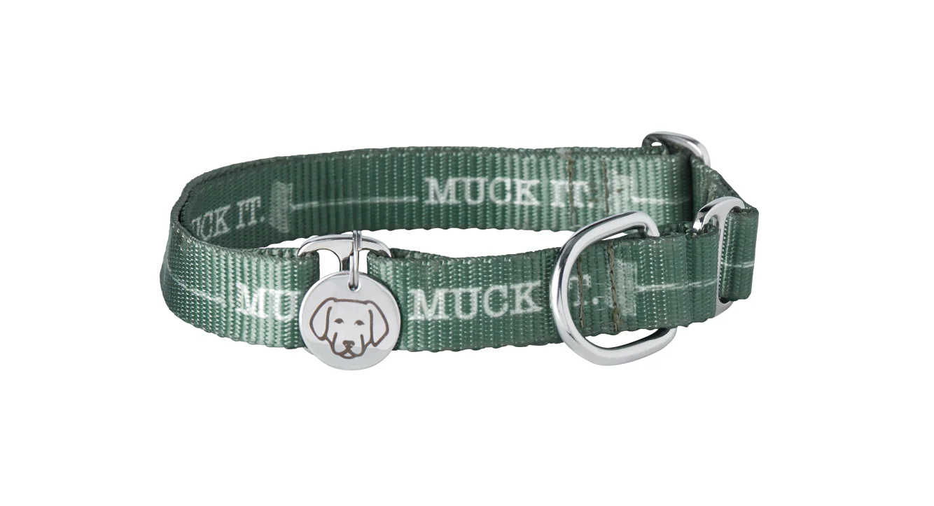 Dover Dog Martingale Collar - Image 3