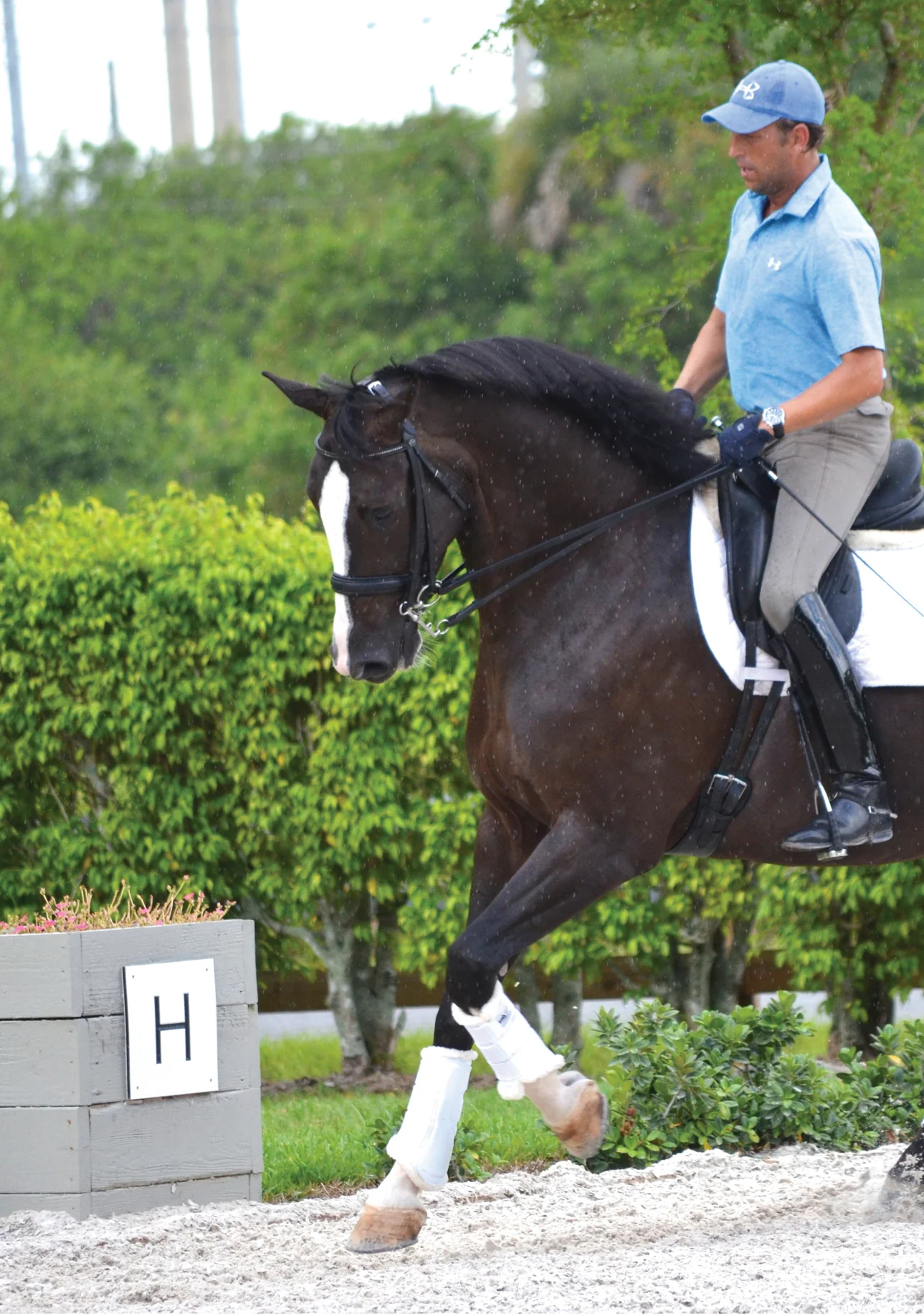 Dressage Sport Boots - Image 19