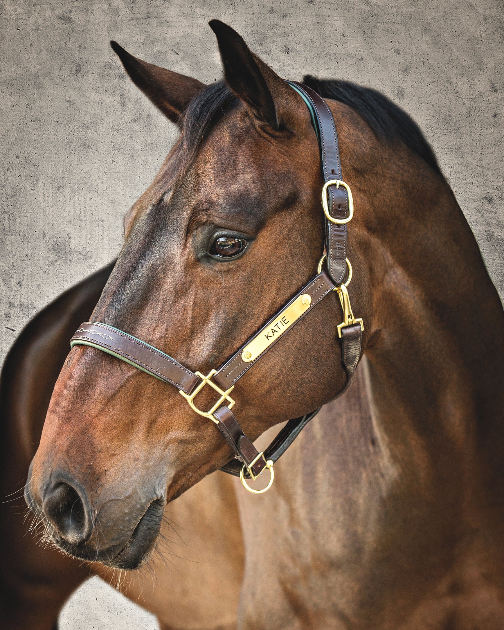 Showmark™ Classic Fancy-Stitched Leather Halter