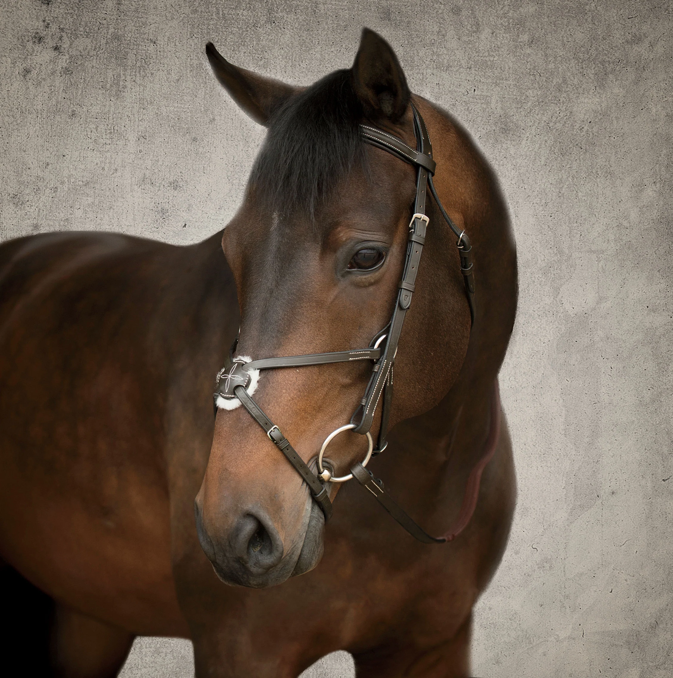 Suffolk™ Figure-8 Bridle - Image 2