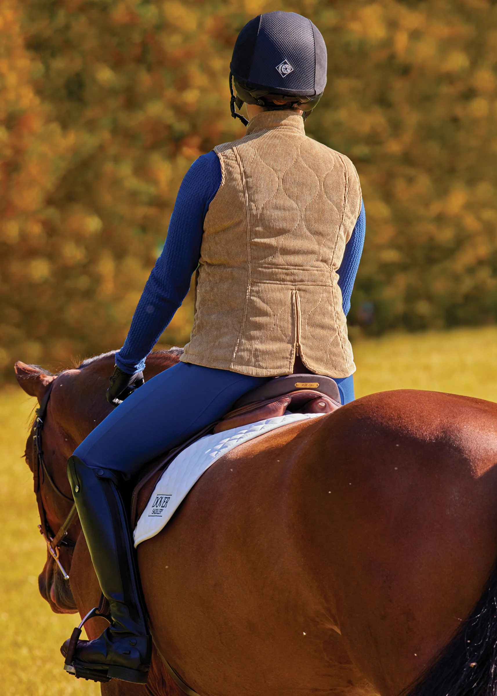 DS Ladies’ Kendall Vest - Image 4