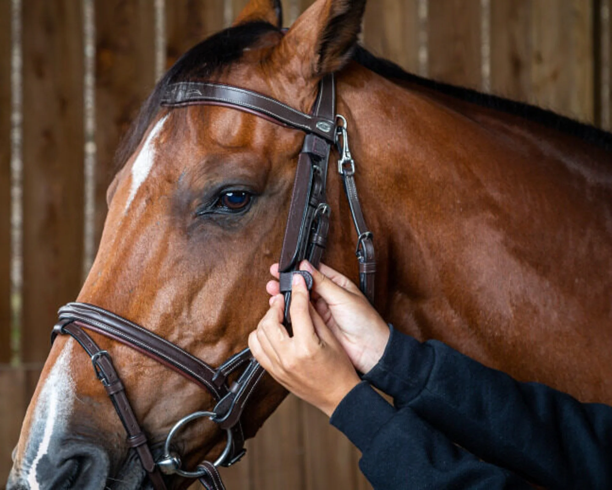 Dy'on® Blinkers - Image 3