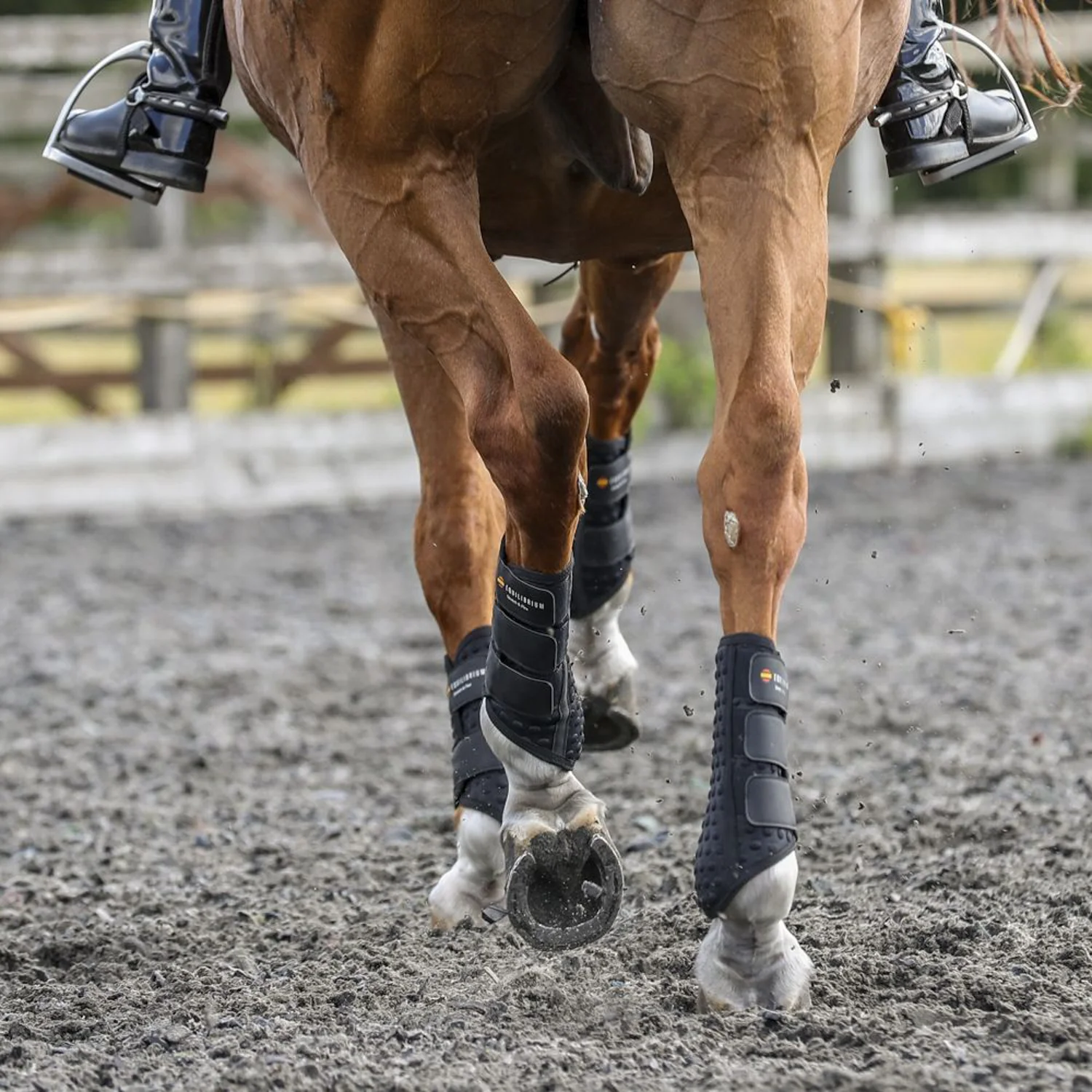 Equilibrium Stretch & Flex Flatwork Wraps - Image 5