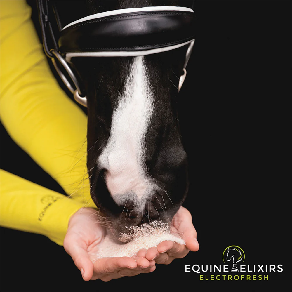 Equine Elixirs Electrofresh - Image 3