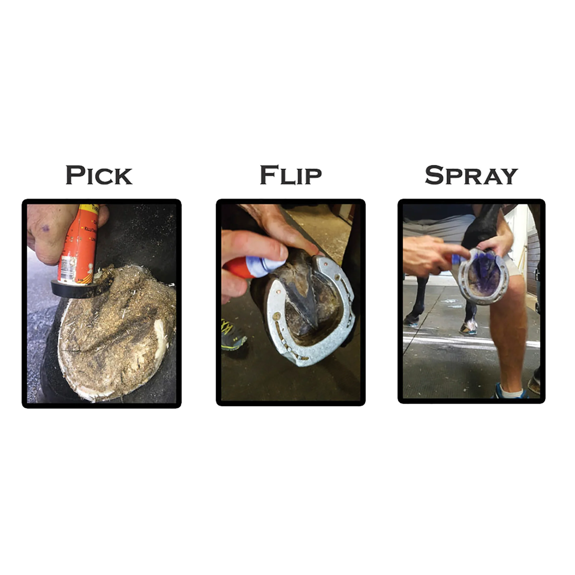 Groom’s Hand Thrush Solution® - Image 6