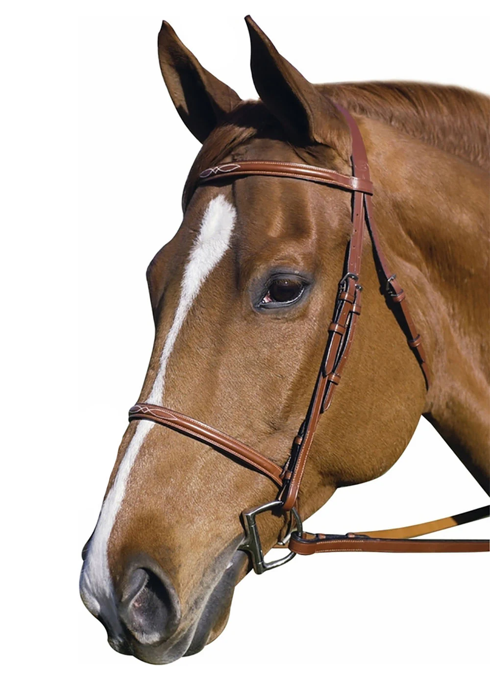 Henri de Rivel Pro Fancy Raised Bridle with Laced Reins - Image 5