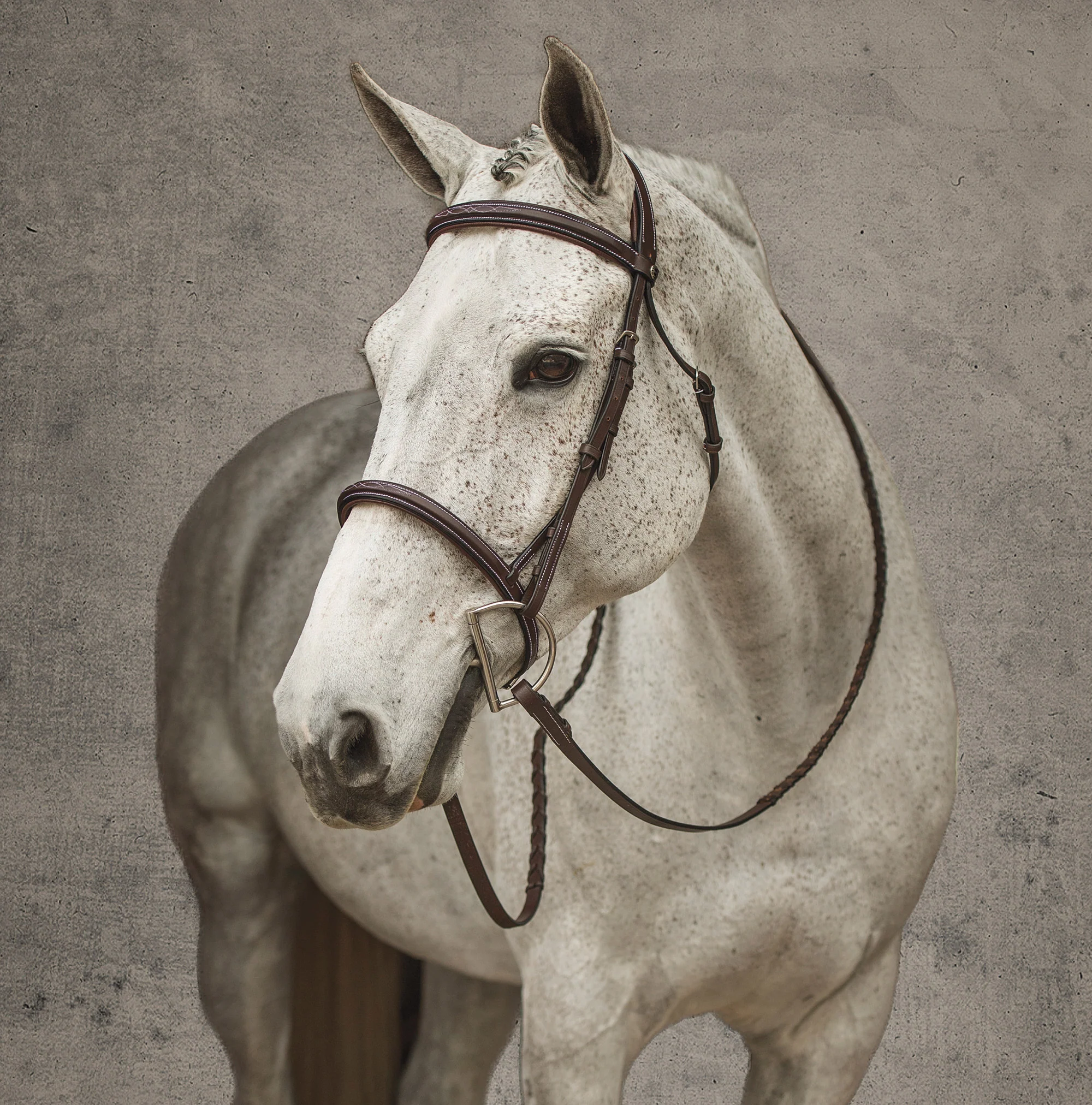 Henri de Rivel Pro Mono Crown Fancy-Stitched Padded Bridle with Laced Reins