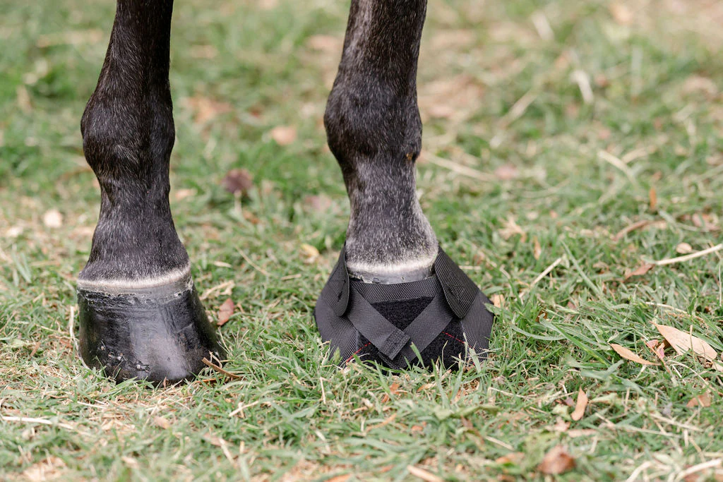 Hoof Wraps™ Bandage - Image 8