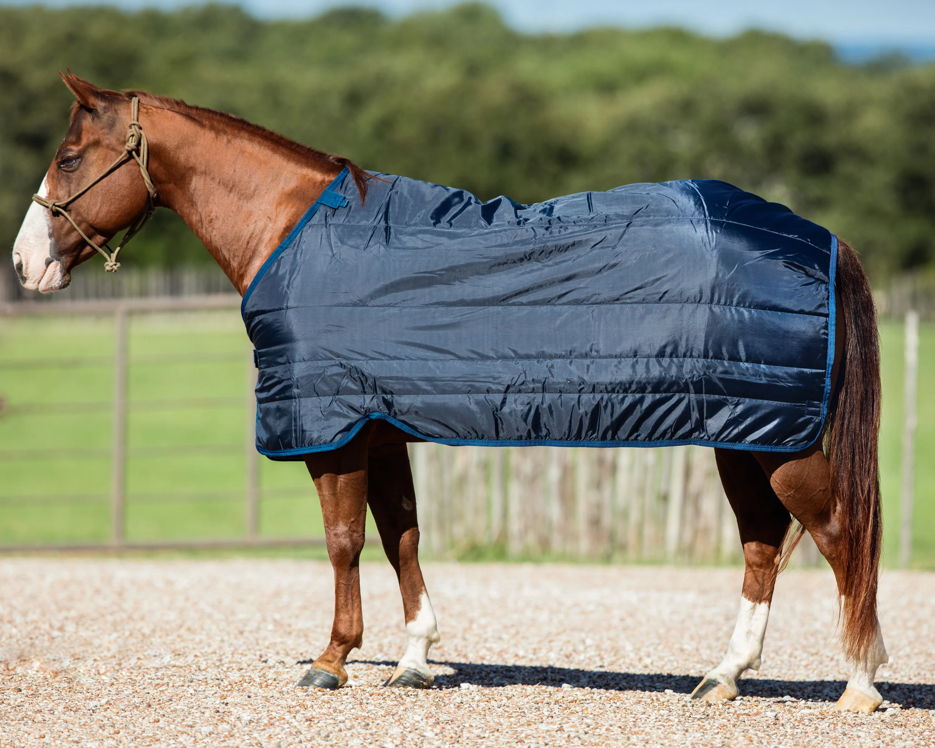 Horseware® Ireland 200 Gram Blanket Liner - Image 3