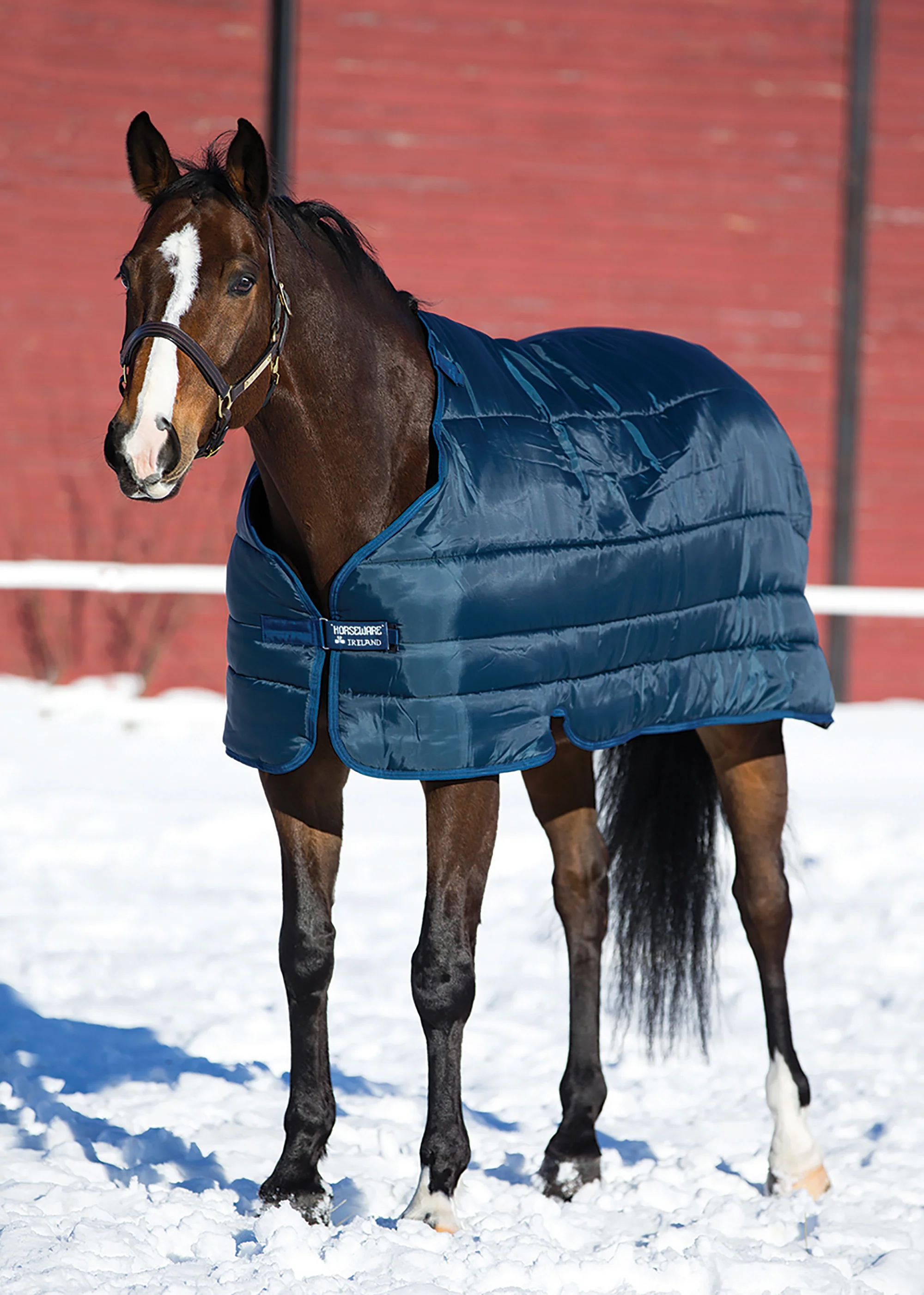Horseware® Ireland 200 Gram Pony Blanket Liner - Image 2