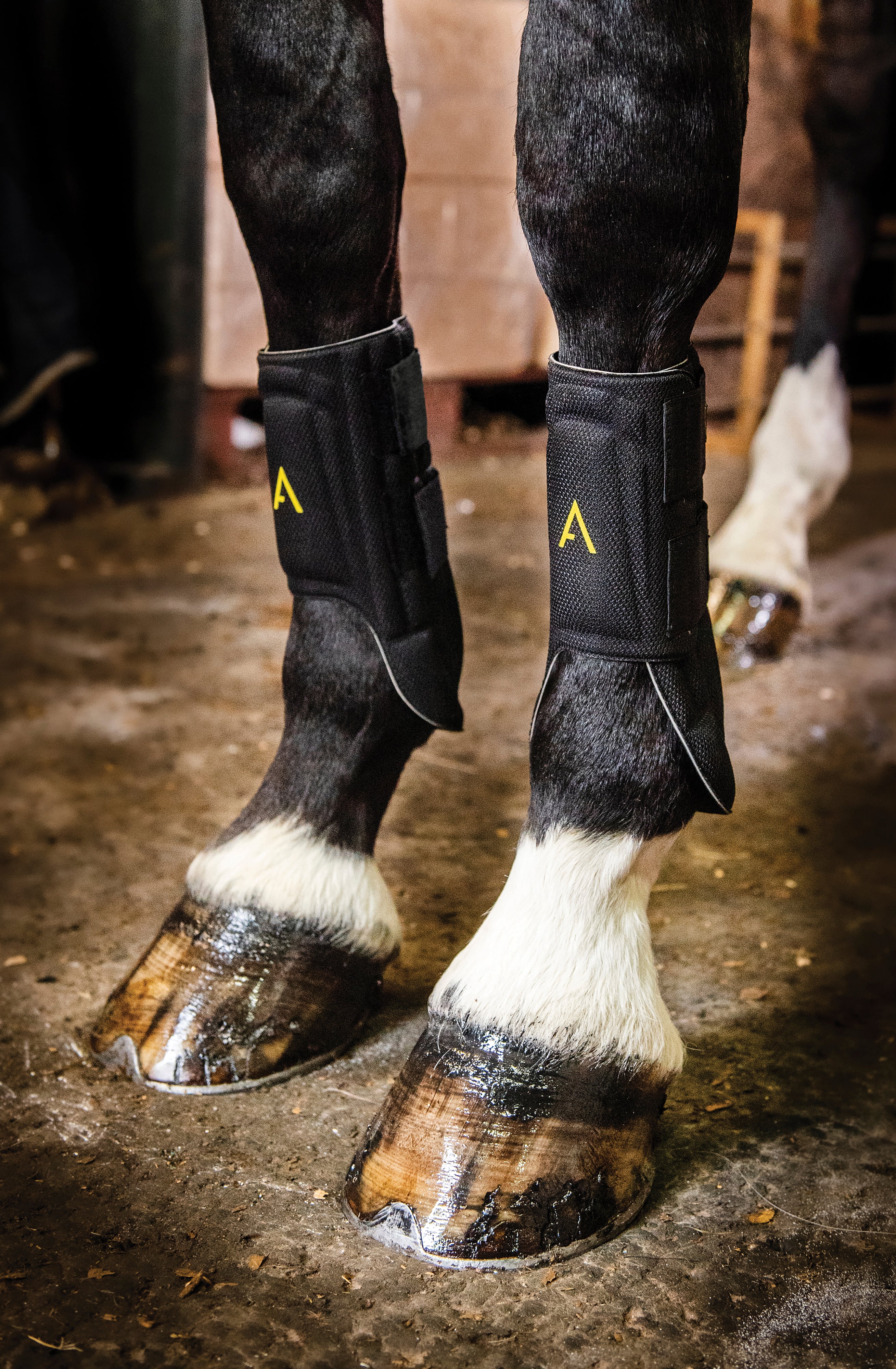 Horseware® Ireland Adagio Boots - Image 6
