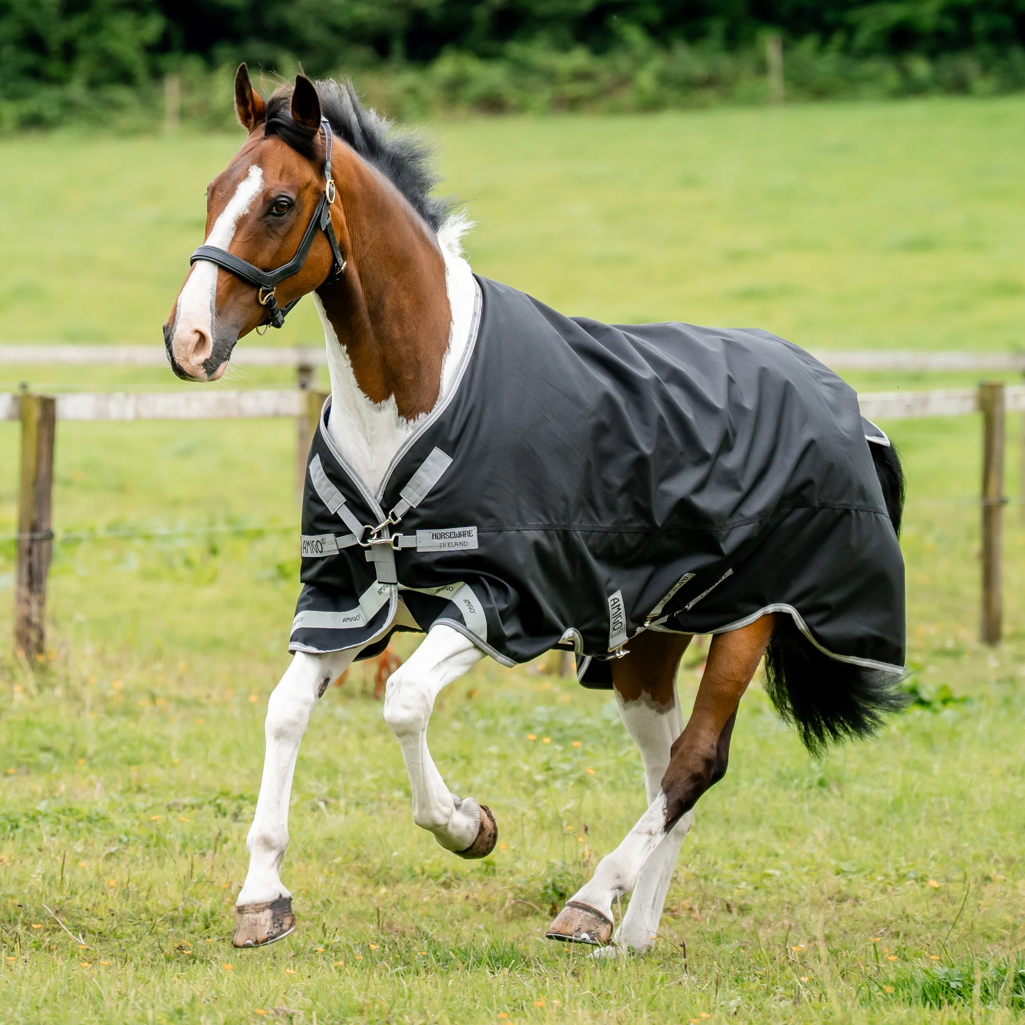 Horseware® Ireland Amigo® 1200D Turnout Sheet Standard Neck - Image 2