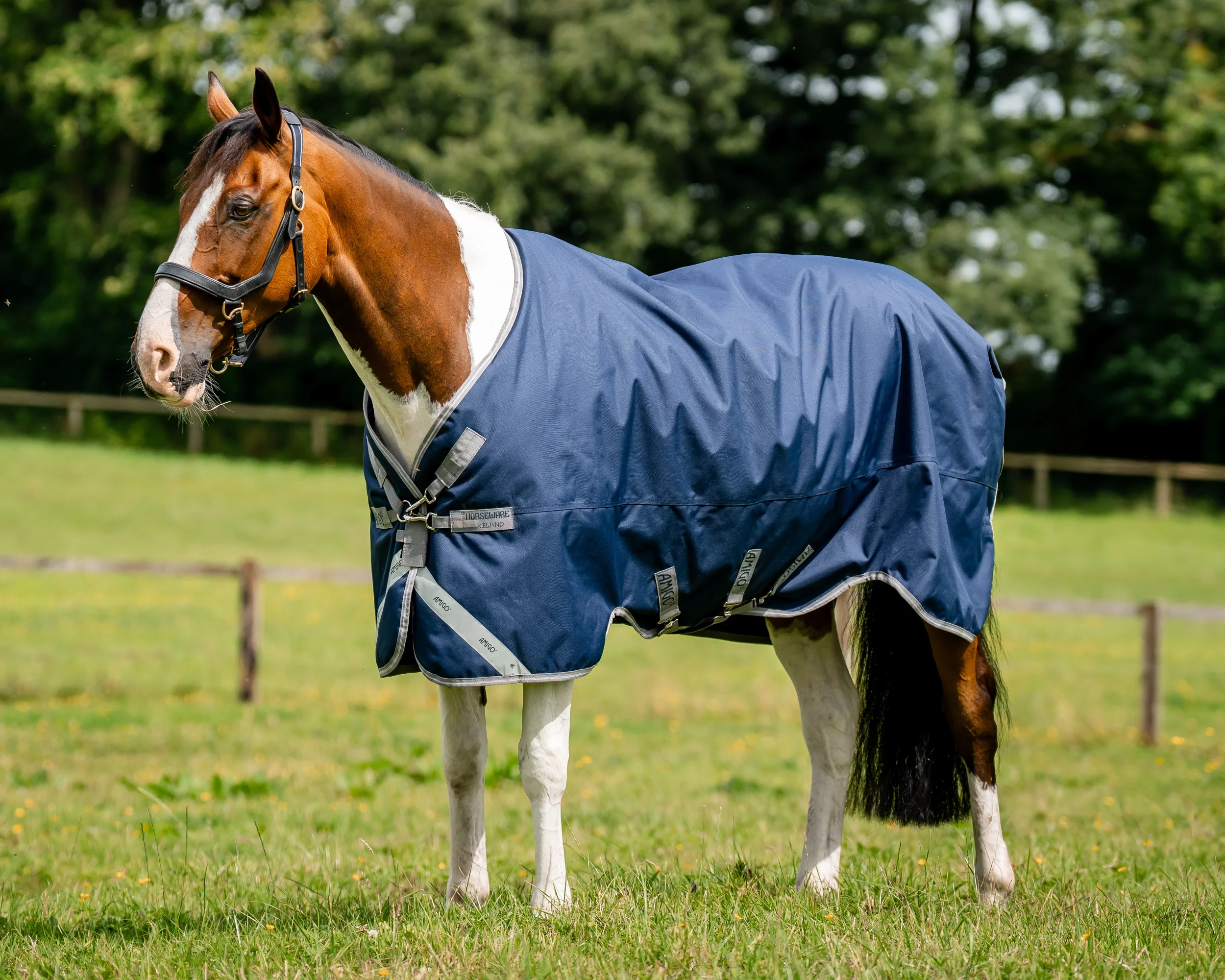 Horseware® Ireland Amigo® 1200D Turnout Standard Neck