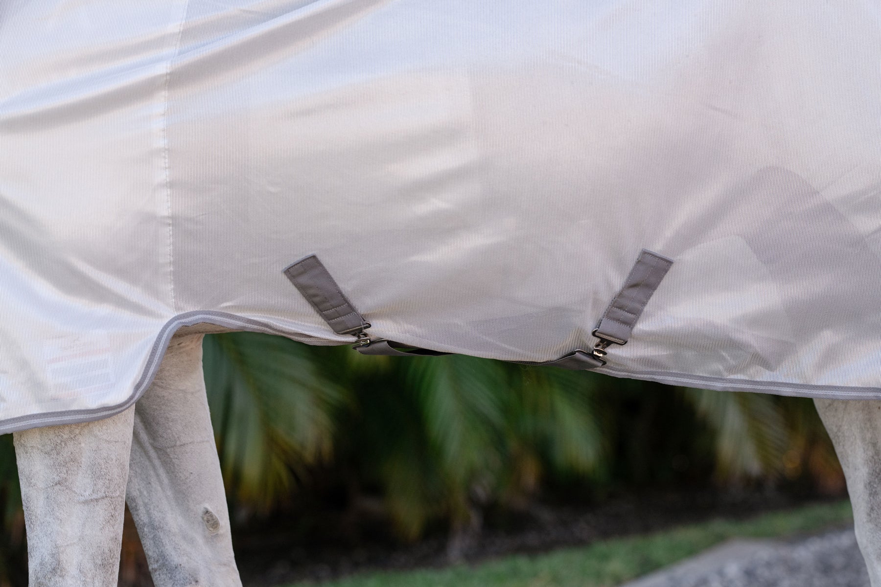 Horseware® Ireland Amigo® All-In-One Fly Sheet - Image 3
