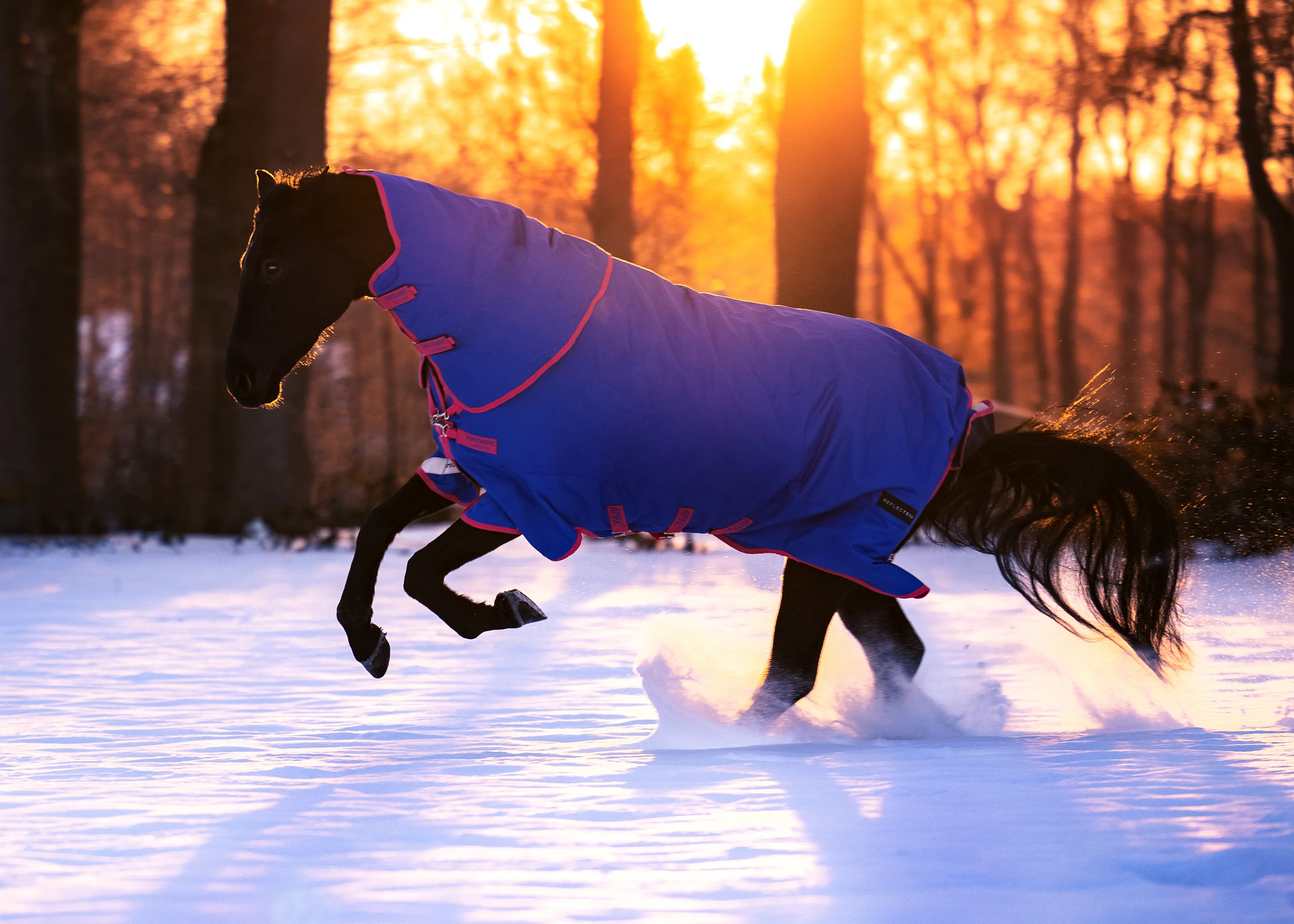 Horseware® Ireland Amigo® Bravo 12 Plus Reflectech Turnout Medium-Weight Blanket - Image 8