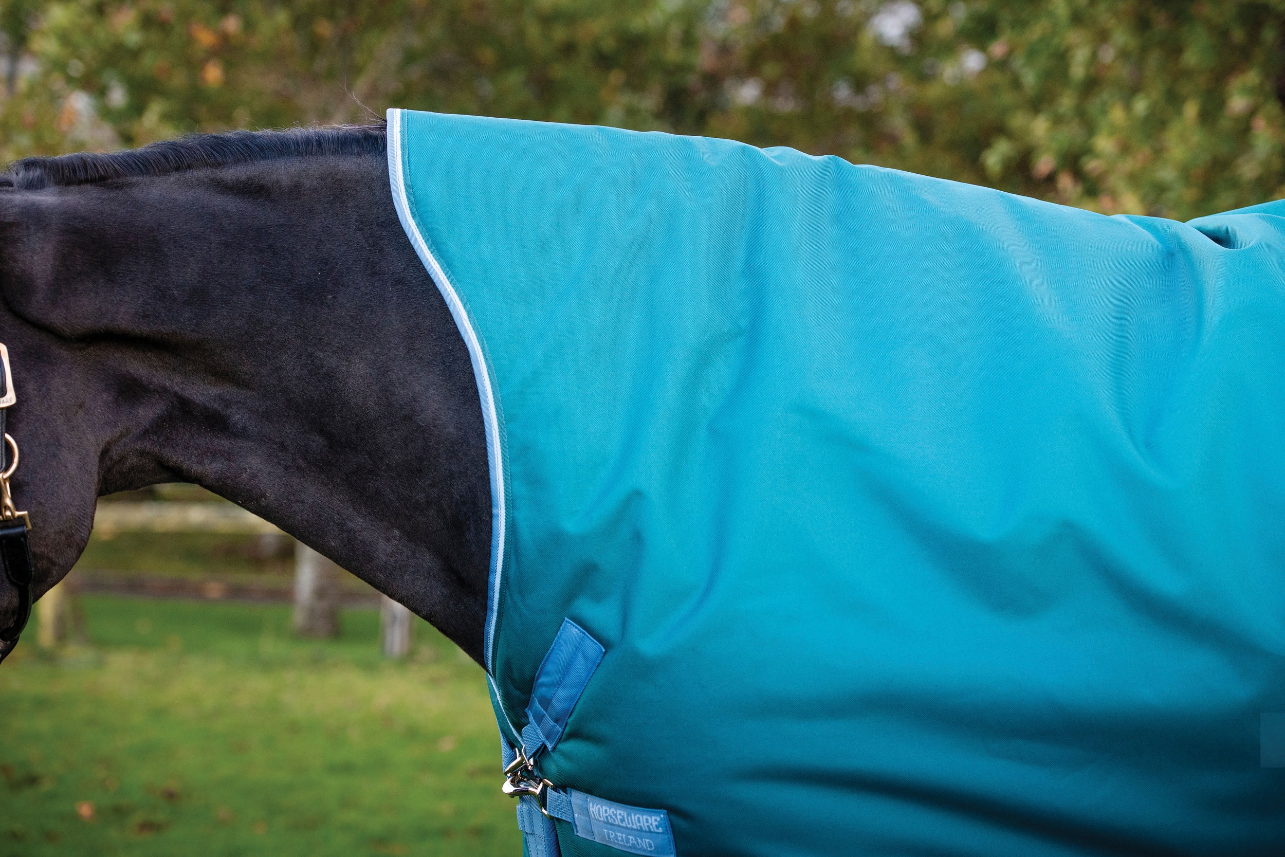 Horseware® Ireland Amigo® Bravo 12 Wug Lite Turnout Sheet - Image 3