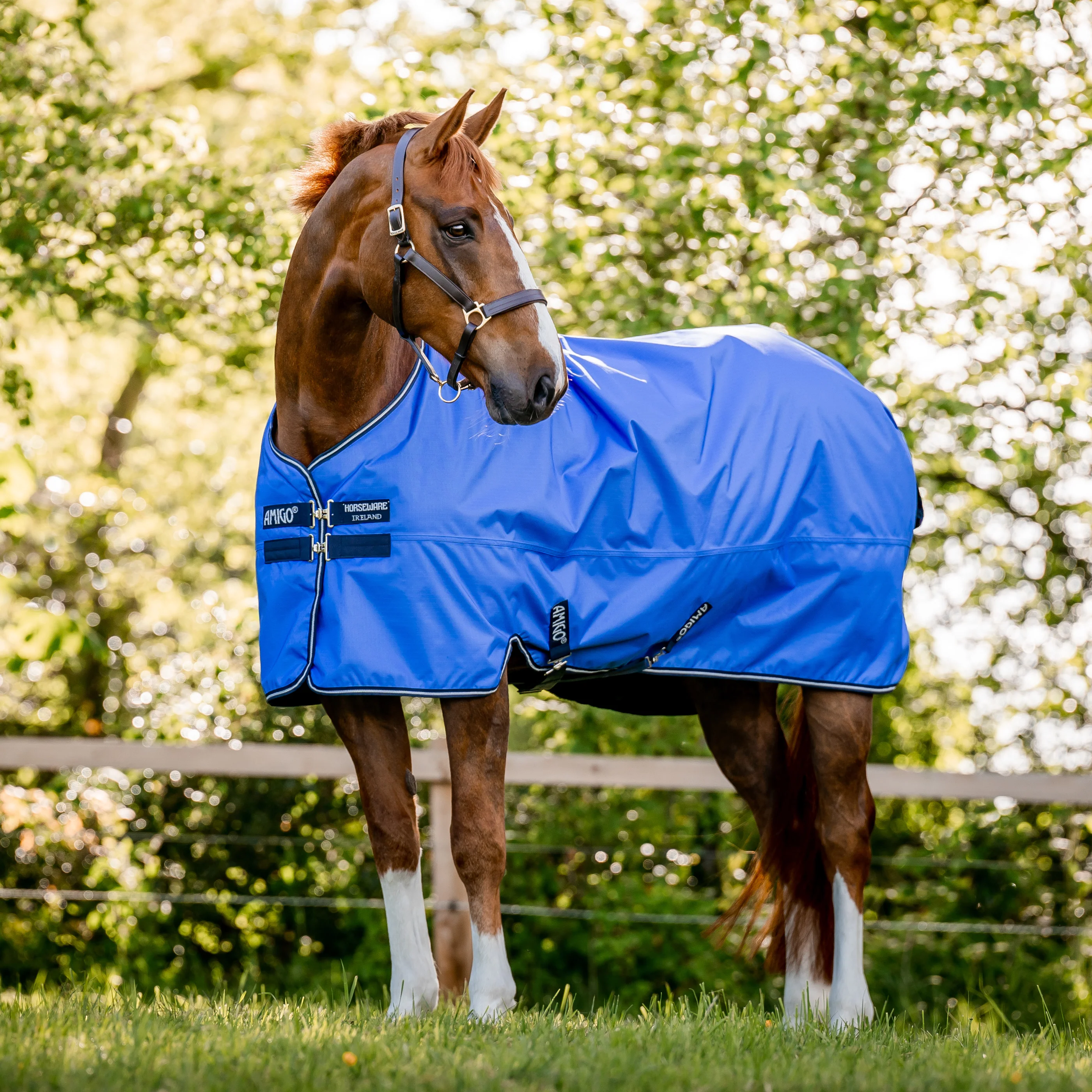 Horseware® Ireland Amigo® Hero Ripstop 50 Gram Lite Turnout Blanket - Image 6