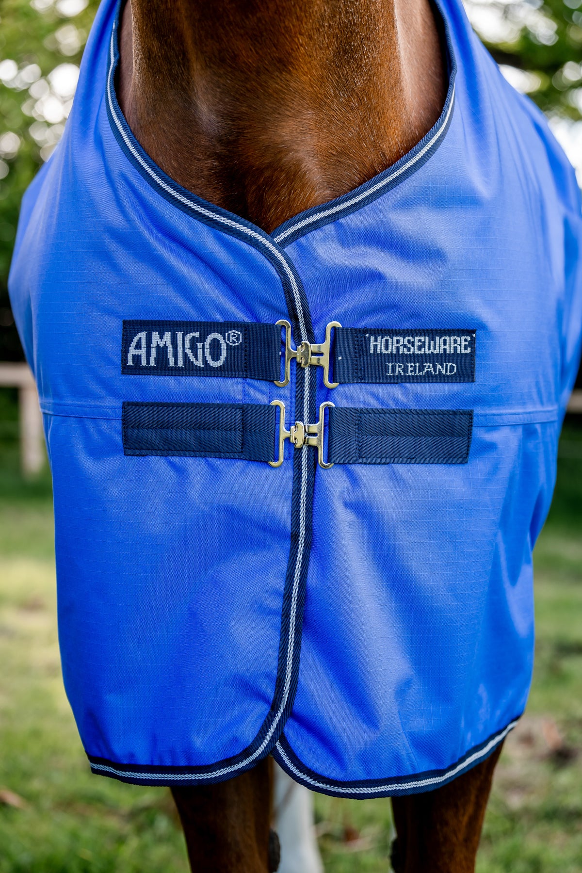 Horseware® Ireland Amigo® Hero Ripstop 50 Gram Lite Turnout Blanket - Image 8
