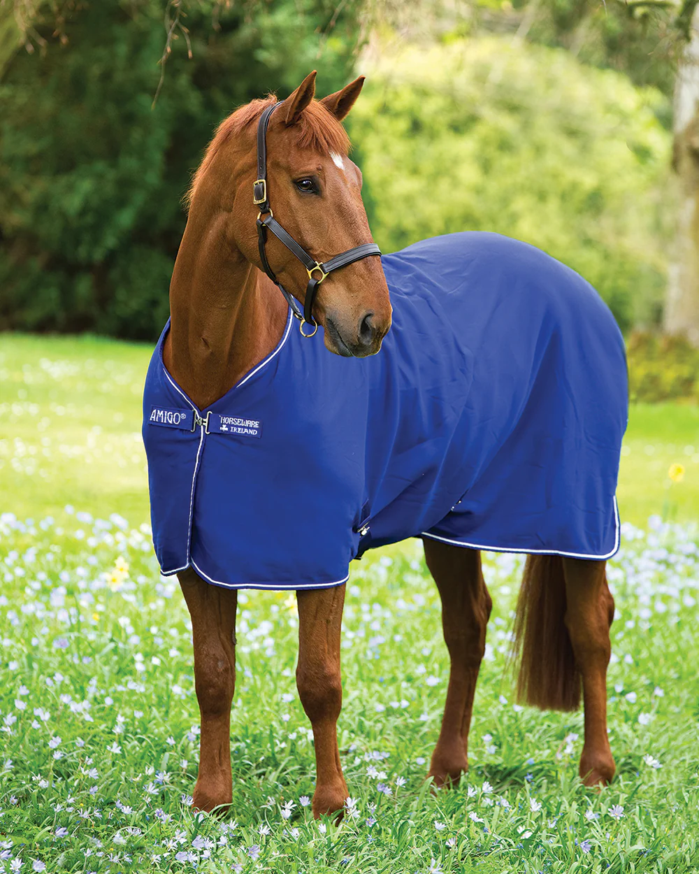 Horseware® Ireland Amigo® Jersey Cooler - Image 12
