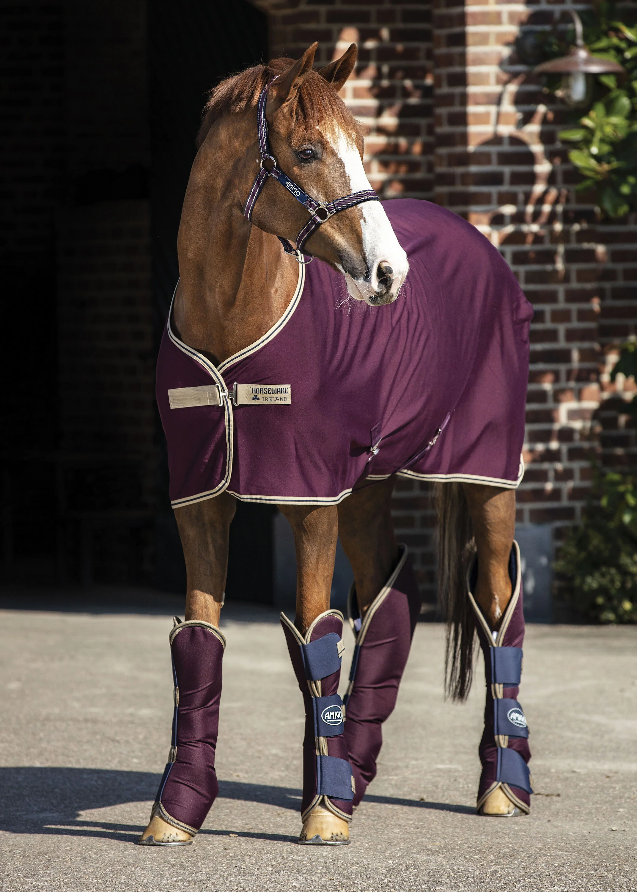 Horseware® Ireland Amigo® Jersey Cooler - Image 14