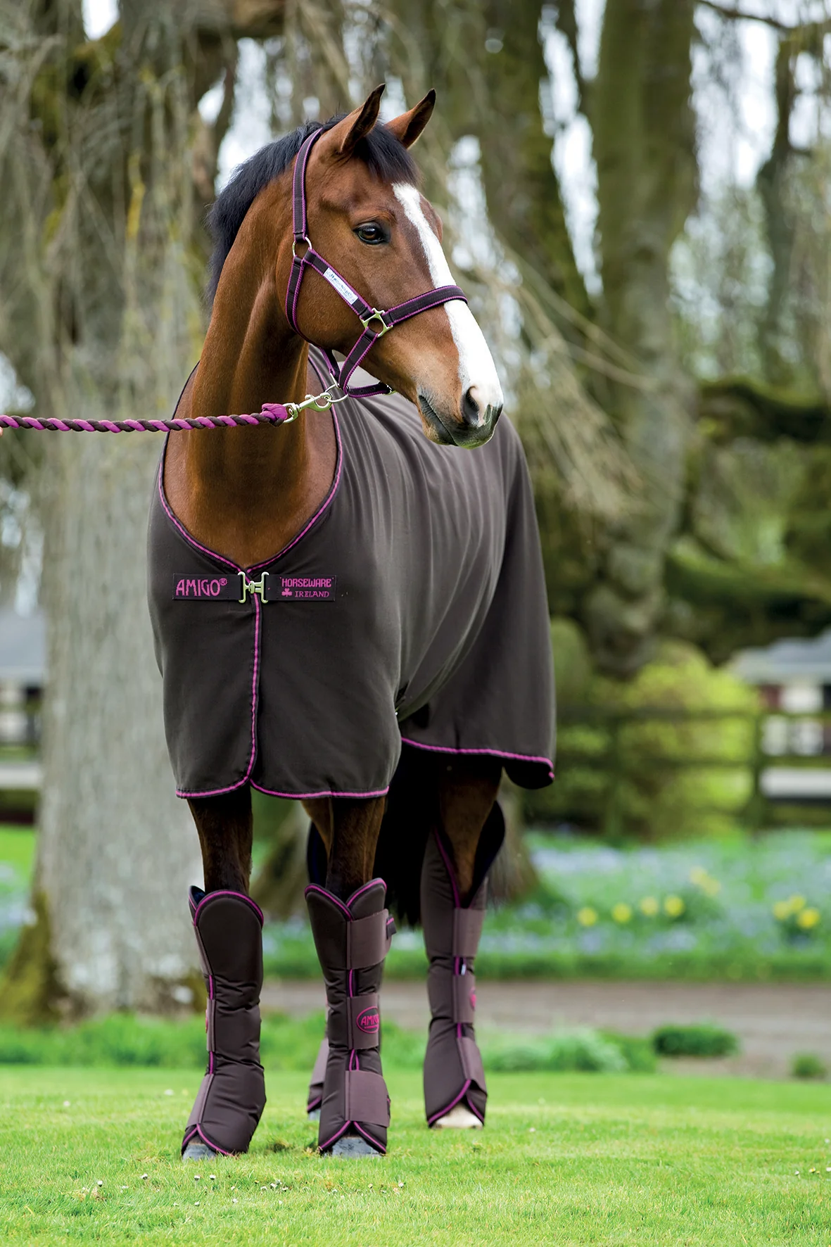 Horseware® Ireland Amigo® Jersey Cooler - Image 17