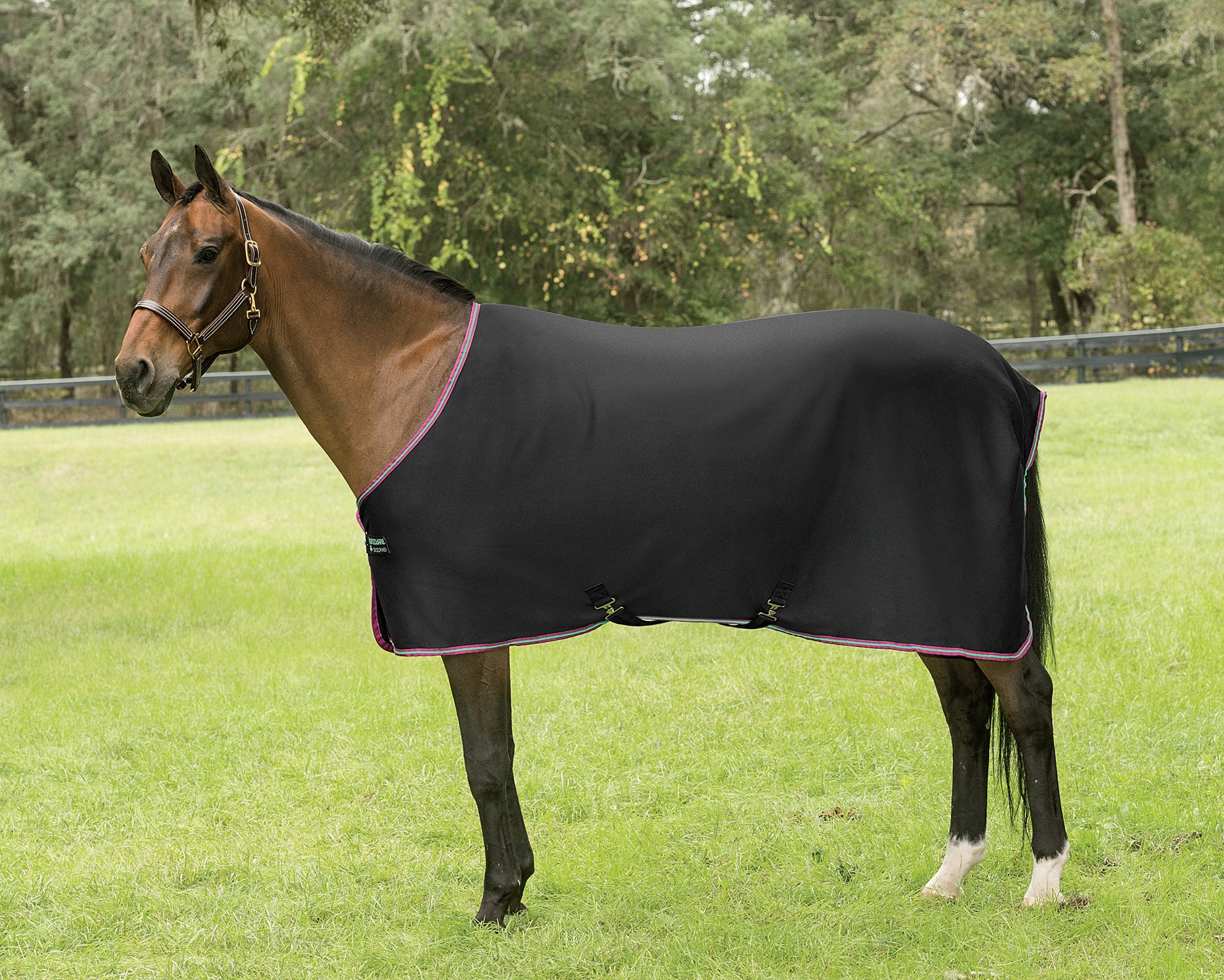 Horseware® Ireland Amigo® Jersey Cooler - Image 5