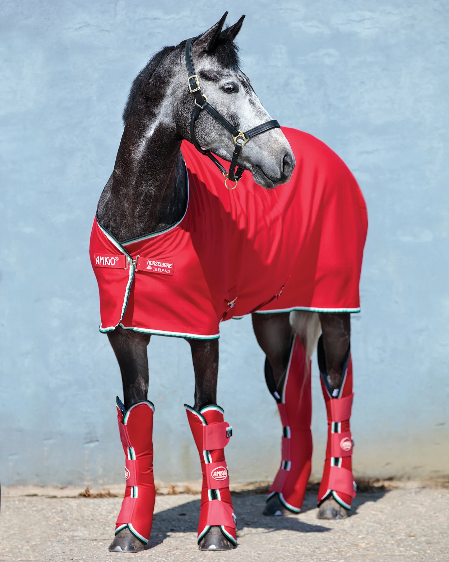Horseware® Ireland Amigo® Jersey Cooler - Image 9