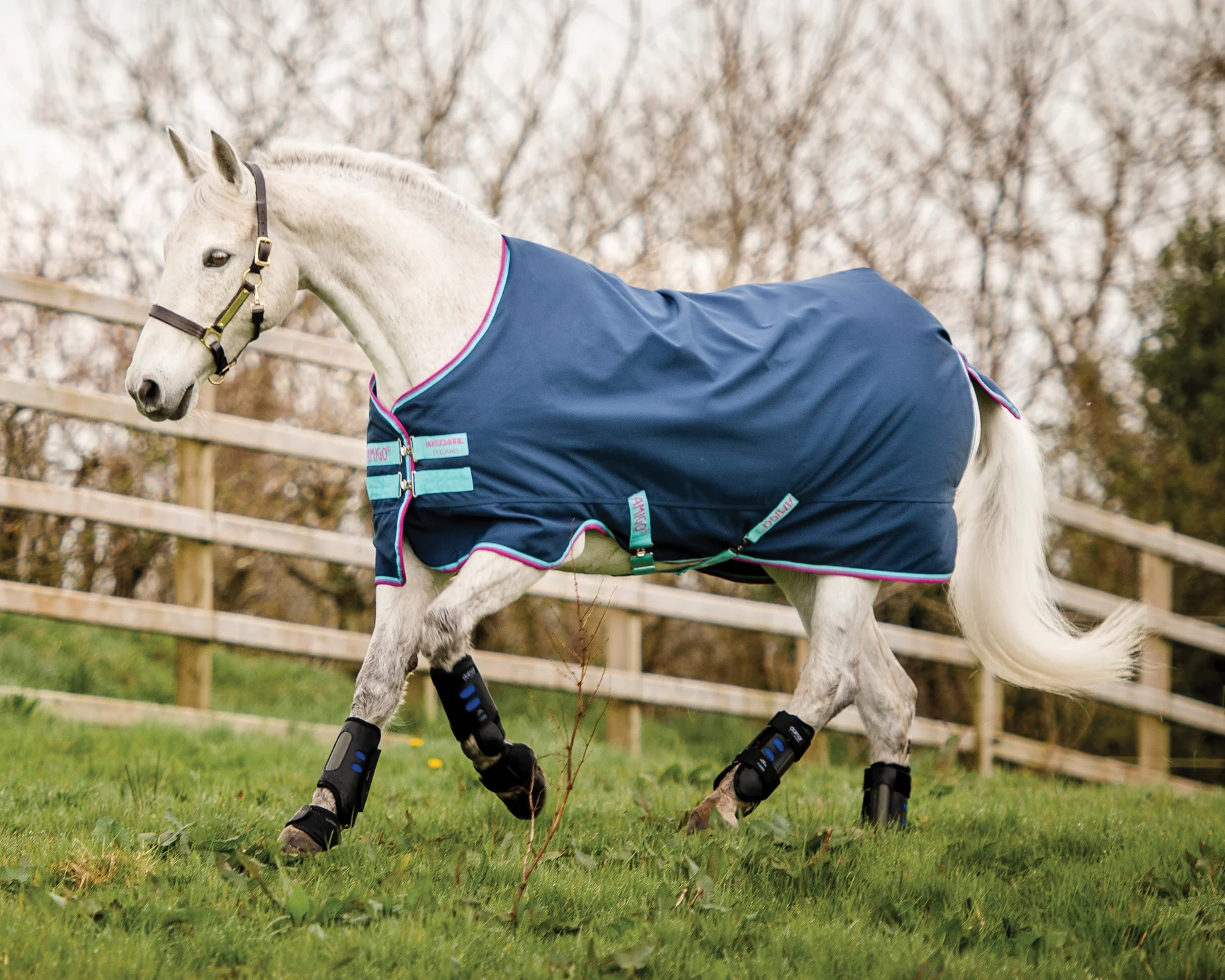 Horseware® Ireland Amigo® Pony Hero 900D Medium-Weight Turnout Blanket - Image 6