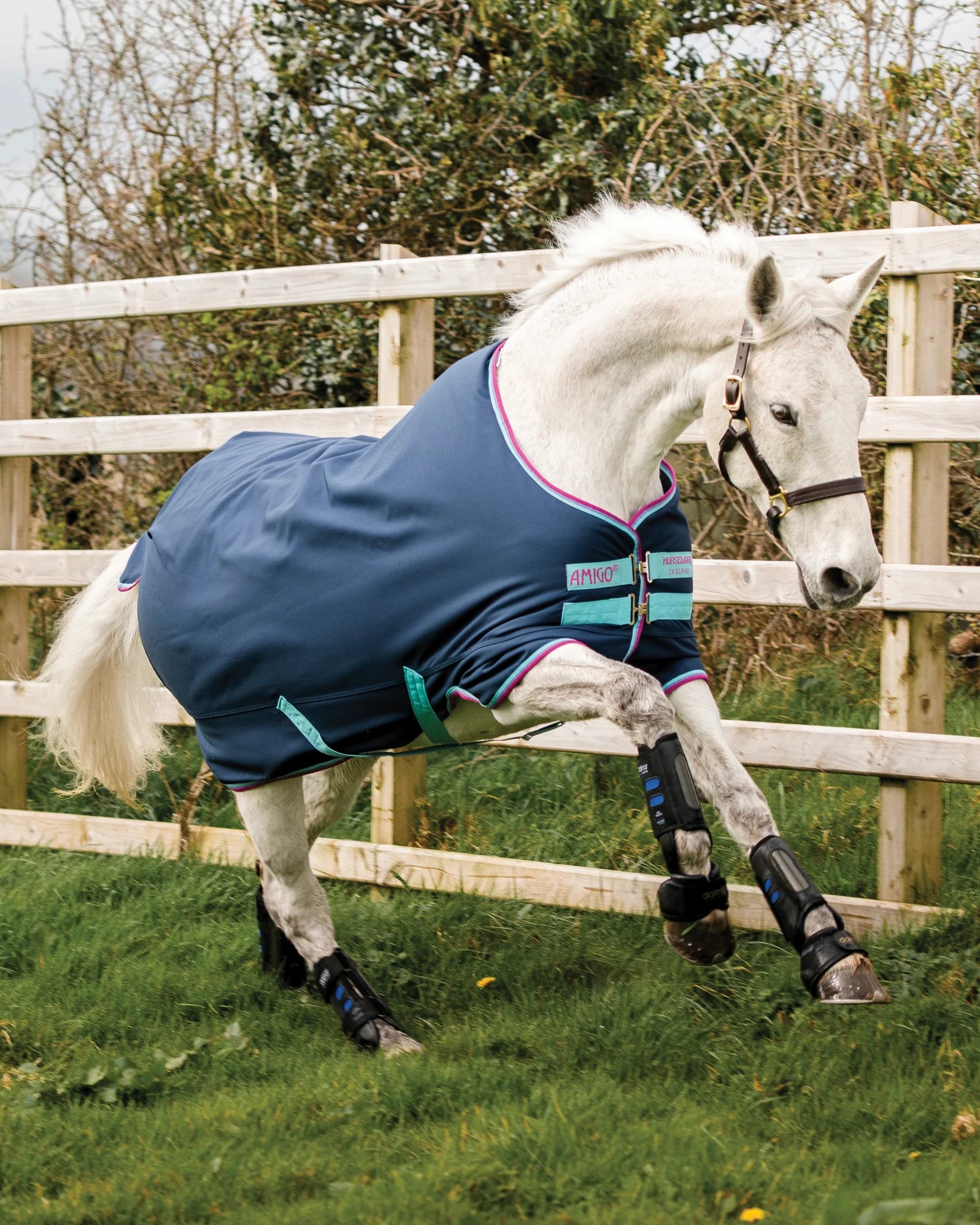 Horseware® Ireland Amigo® Pony Hero 900D Medium-Weight Turnout Blanket - Image 8