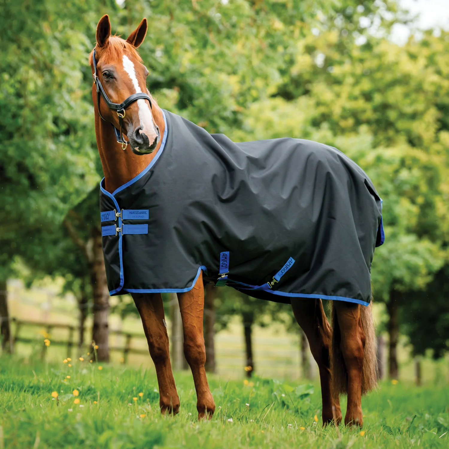 Horseware® Ireland Amigo® Ripstop 900D 100 Gram Standard Neck Turnout - Image 2