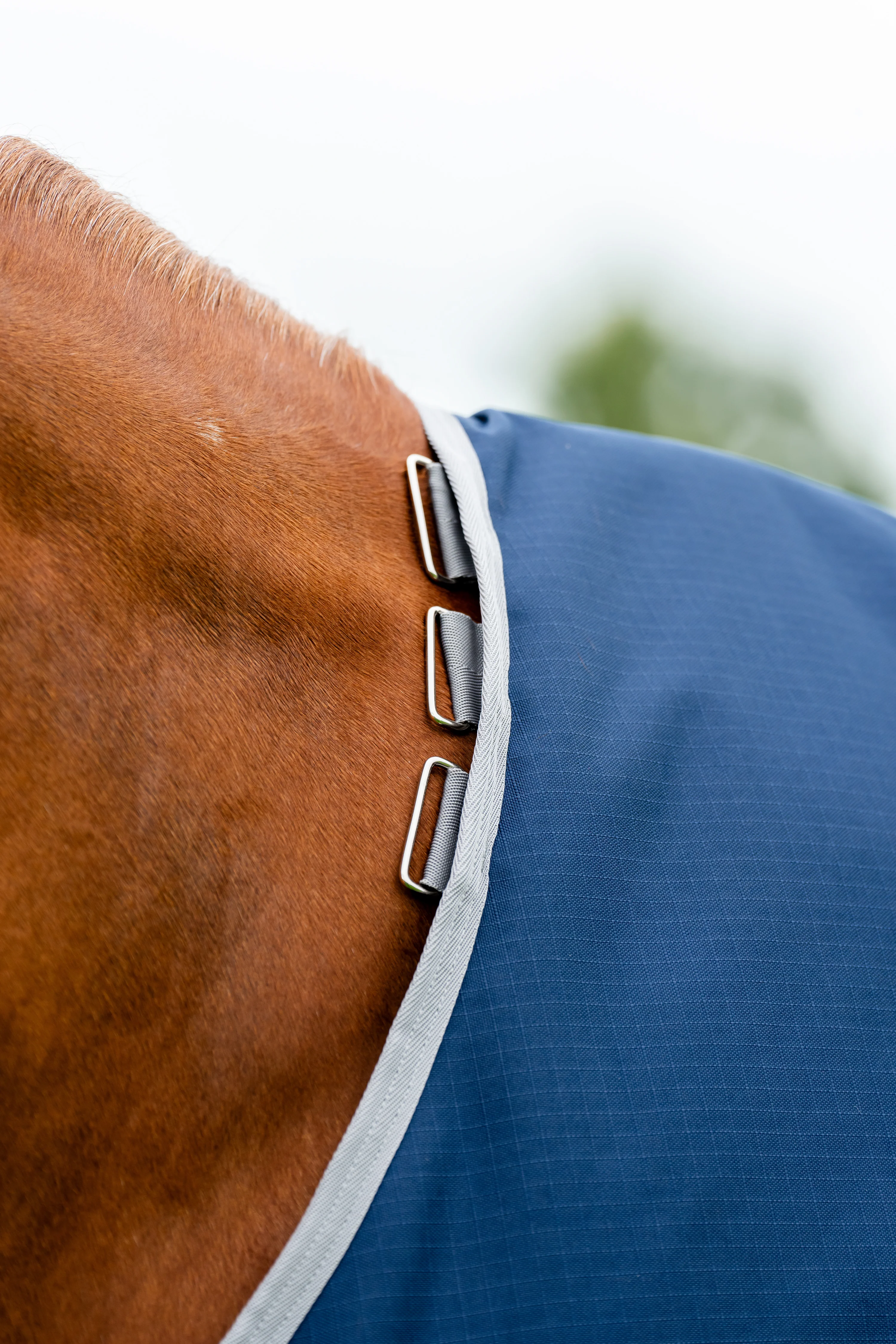 Horseware® Ireland Amigo® Ripstop 900D 100 Gram Standard Neck Turnout - Image 7