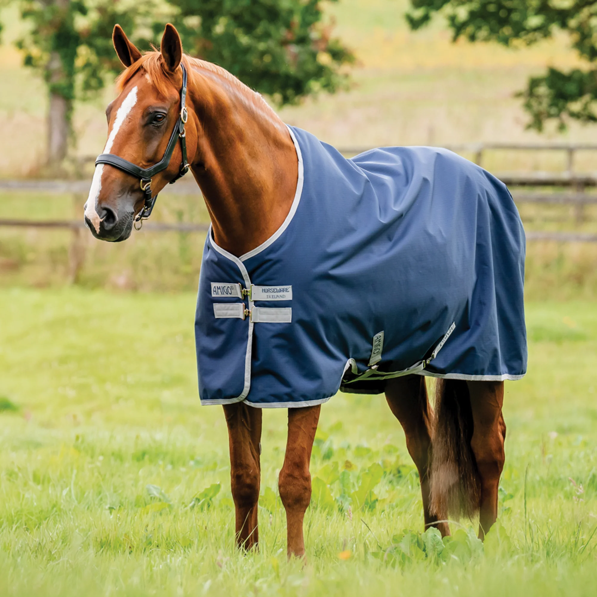 Horseware® Ireland Amigo® Ripstop 900D 200 Gram Standard Neck Turnout - Image 2
